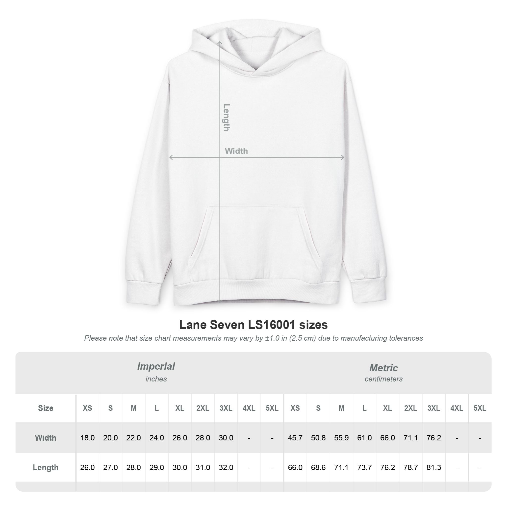Decay Of Survival - White Hoodie — ABN Faction Logo Pullover