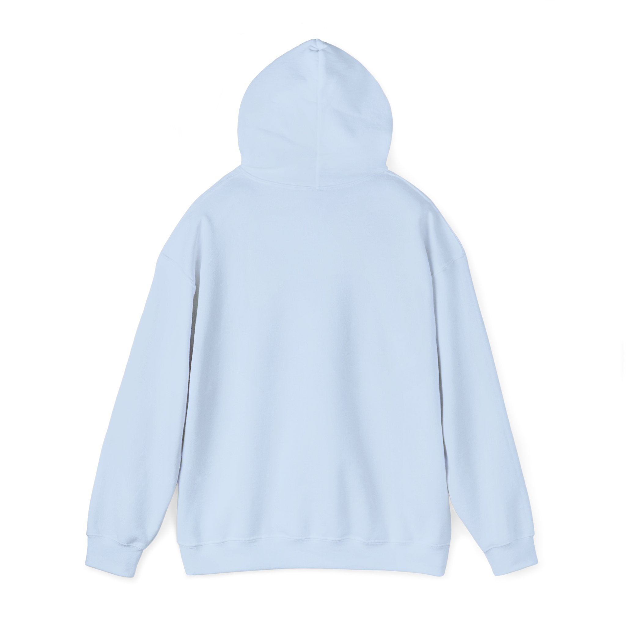 Decay Of Survival Hoodie — Post-Apocalyptic Graphic Pullover