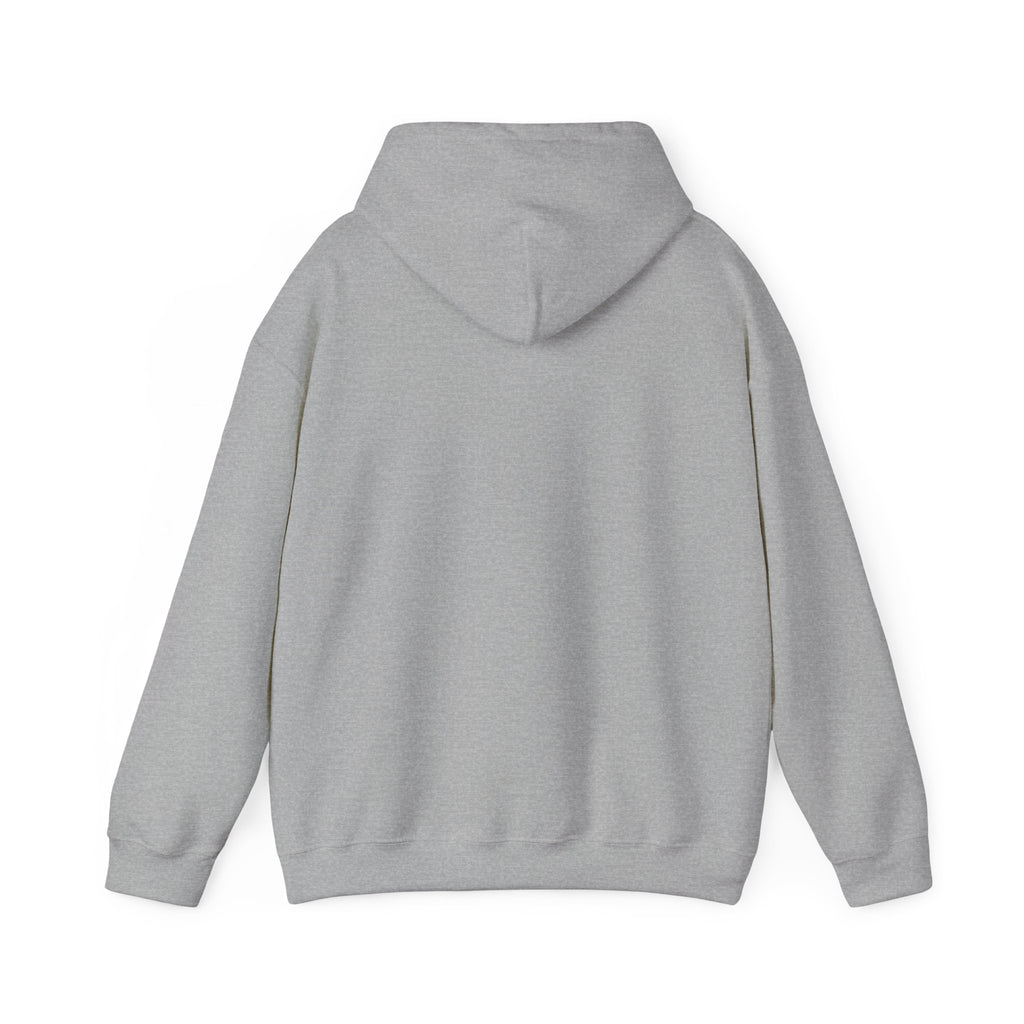 Decay Of Survival Hoodie — Post-Apocalyptic Graphic Pullover