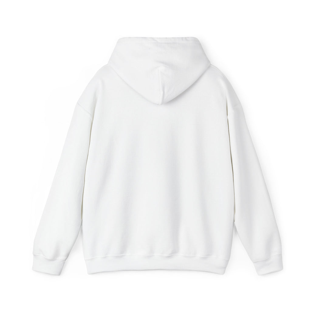 Decay Of Survival Hoodie — Post-Apocalyptic Landscape Graphic Hoodie