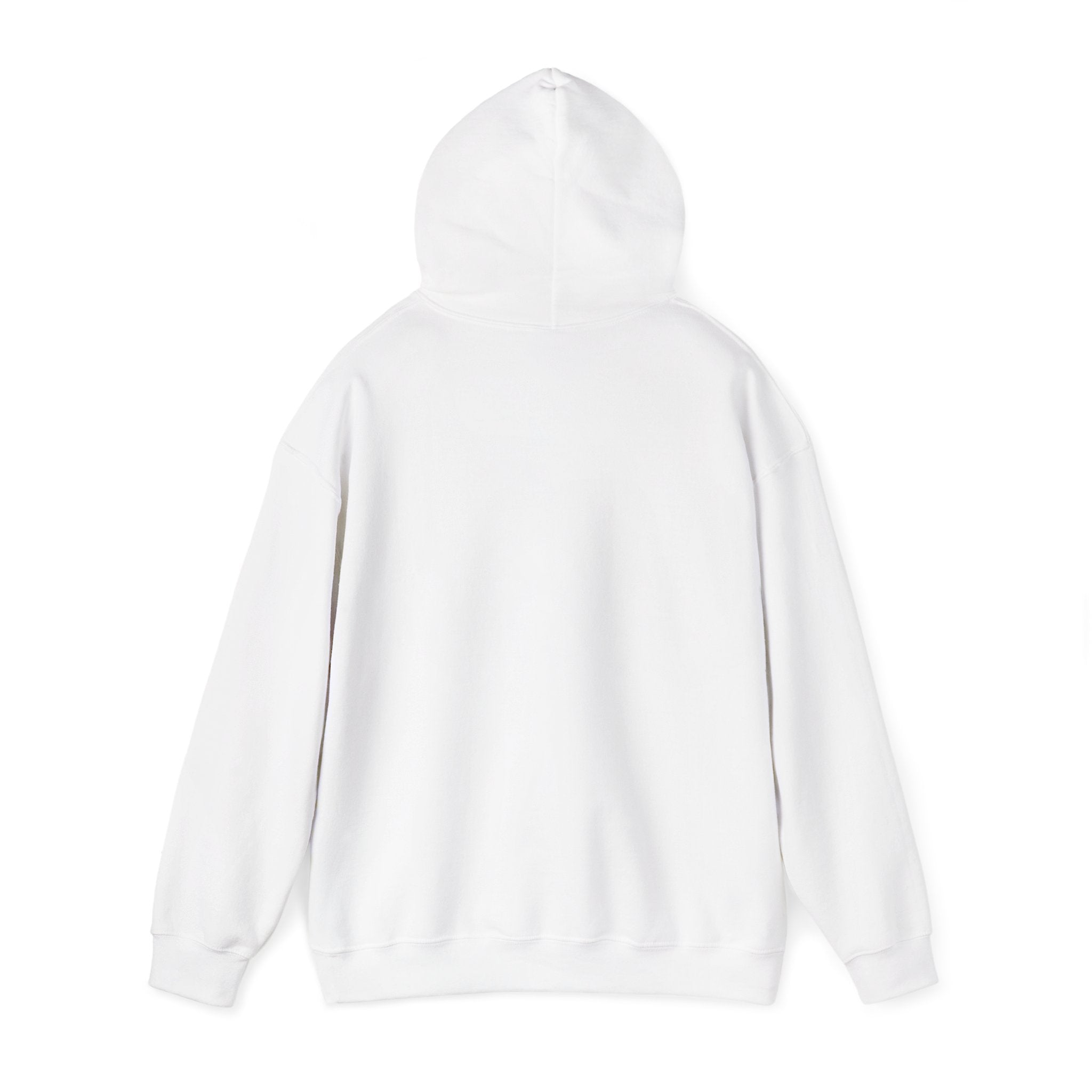 Decay Of Survival Hoodie — Post-Apocalyptic Graphic Pullover