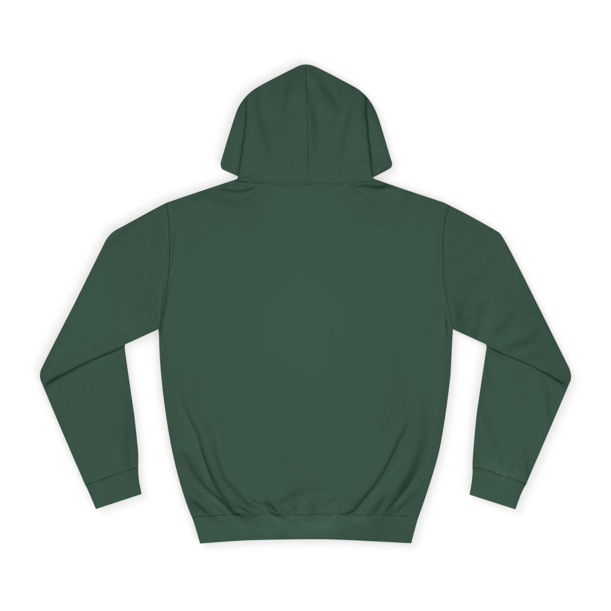 Decay Of Survival Hoodie — Vintage Campus Landscape Graphic