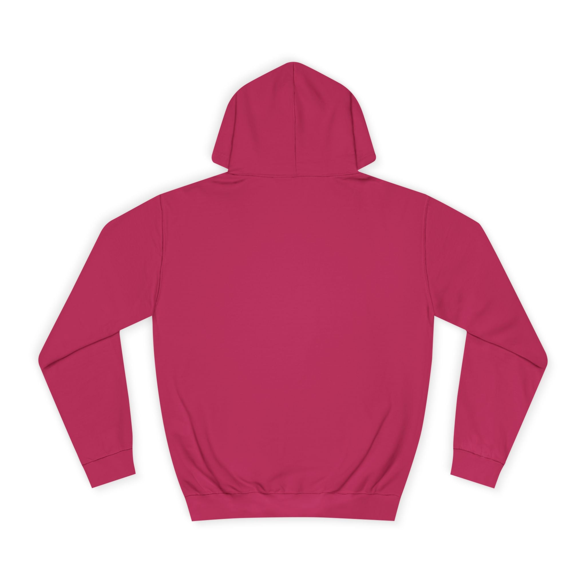 Decay Of Survival Hoodie — Vintage Campus Landscape Graphic