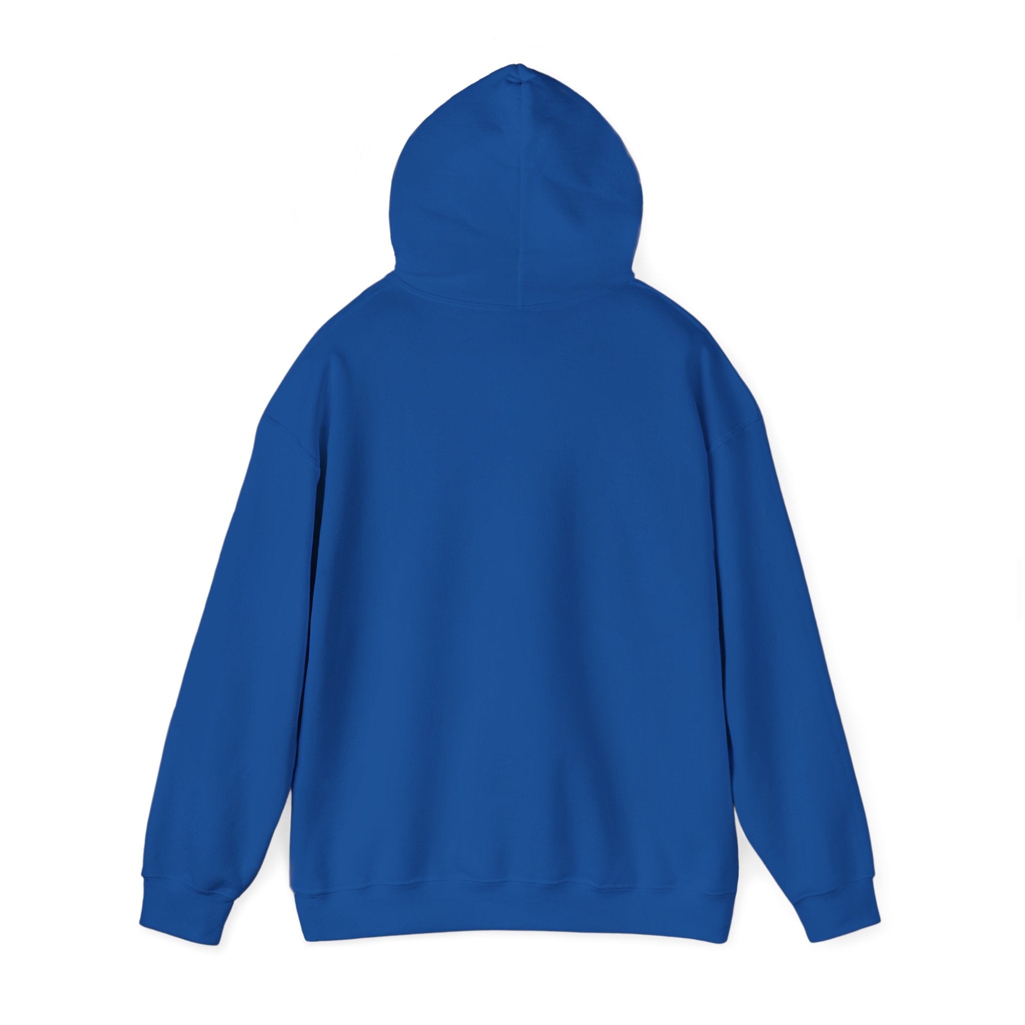 Decay Of Survival Hoodie — Post-Apocalyptic Landscape Graphic Hoodie