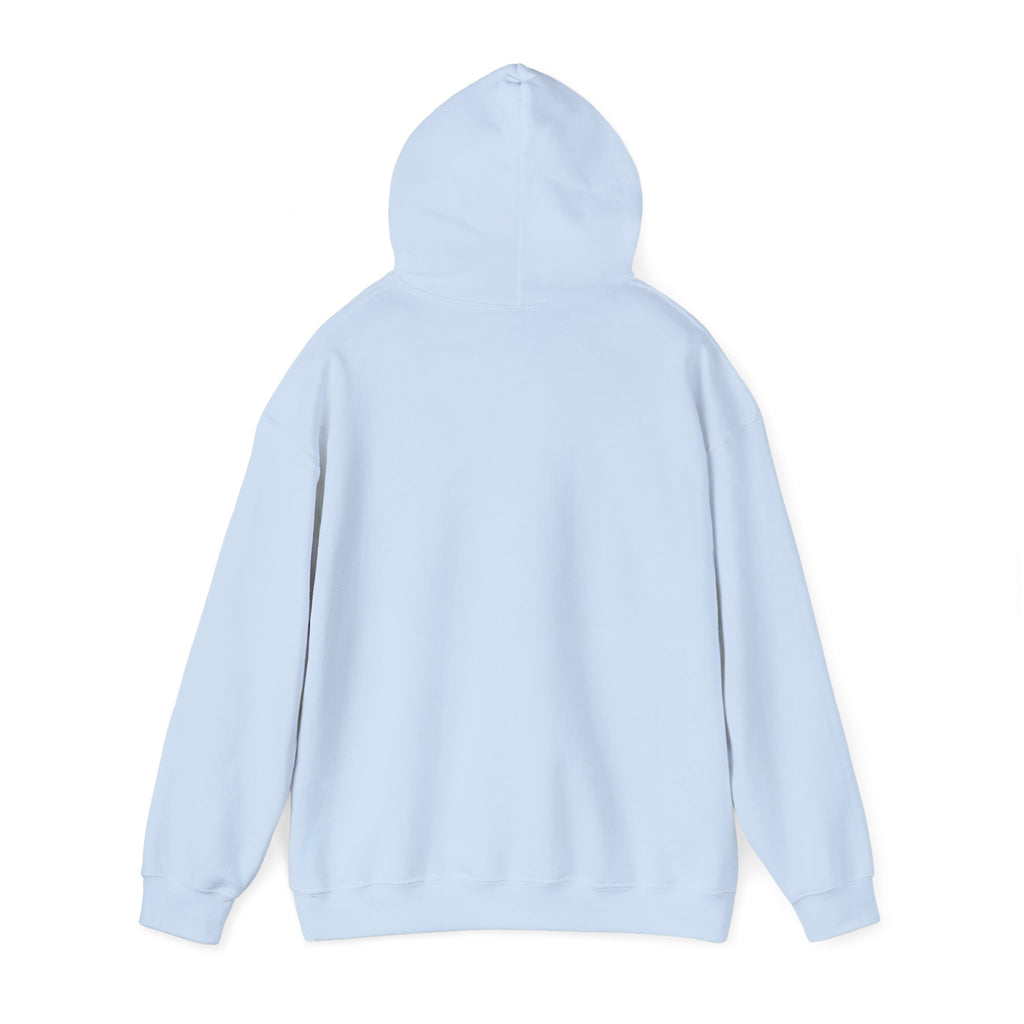 Decay Of Survival Hoodie — Post-Apocalyptic Landscape Graphic Hoodie