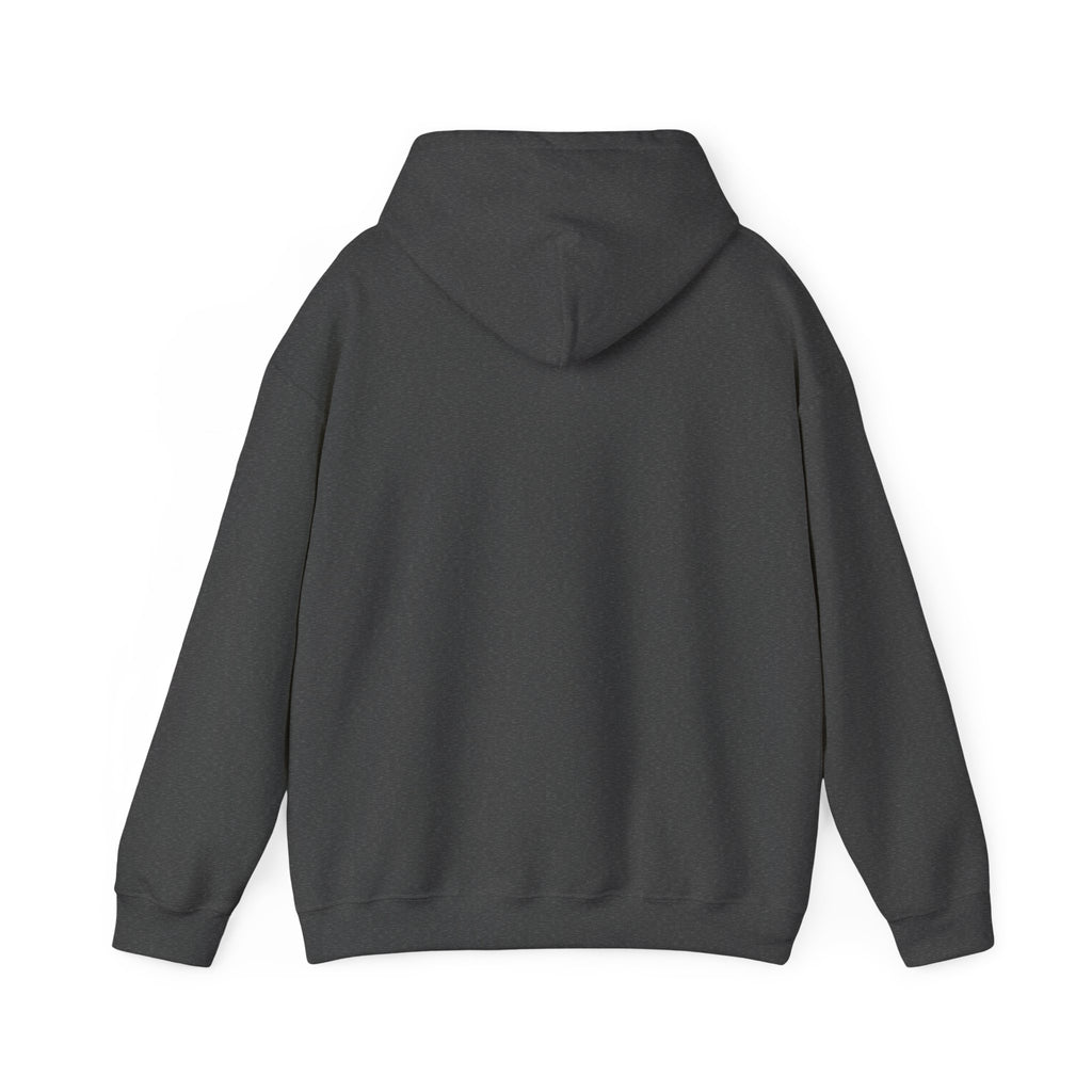 Decay Of Survival Hoodie — Post-Apocalyptic Graphic Pullover