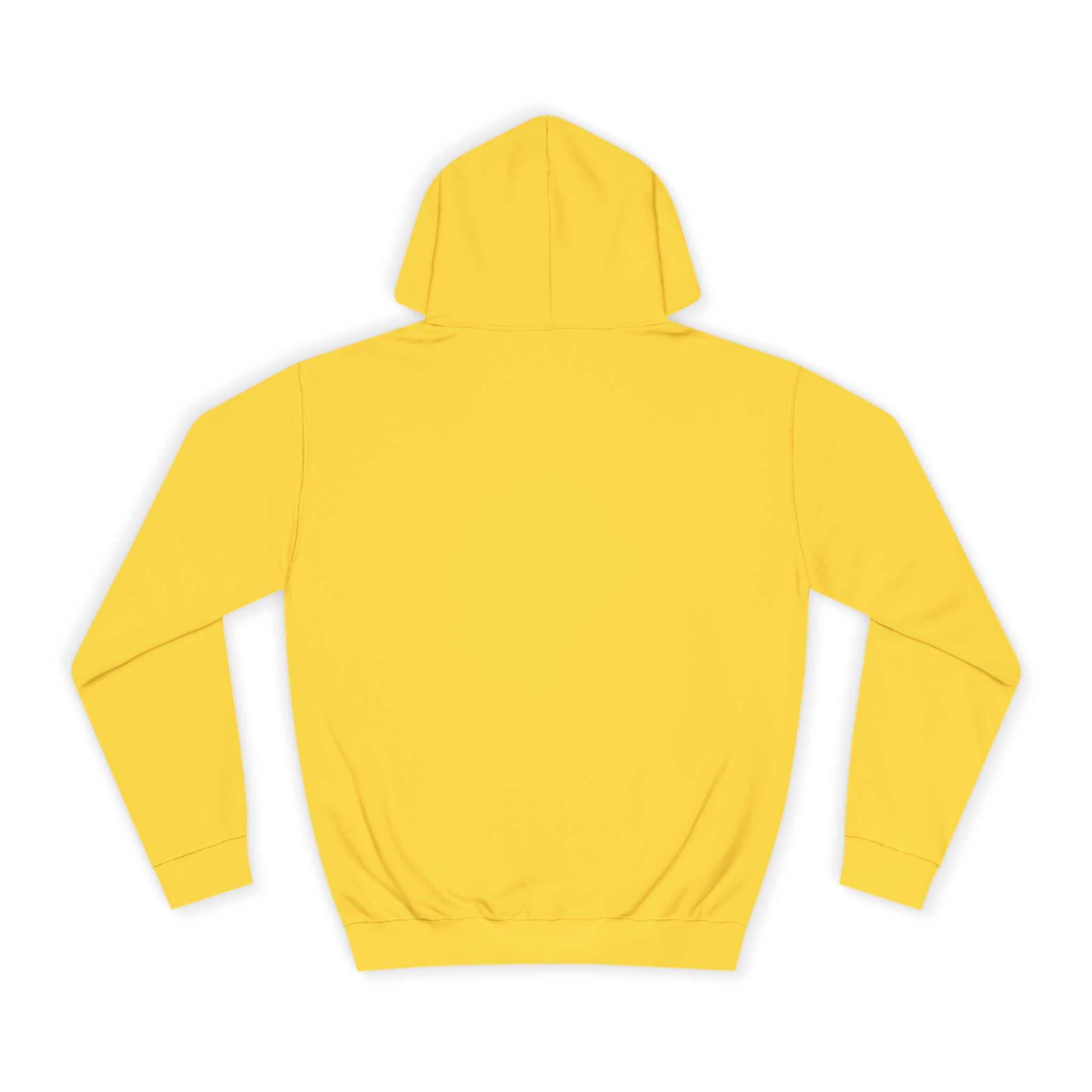 Decay Of Survival Hoodie — Vintage Campus Landscape Graphic