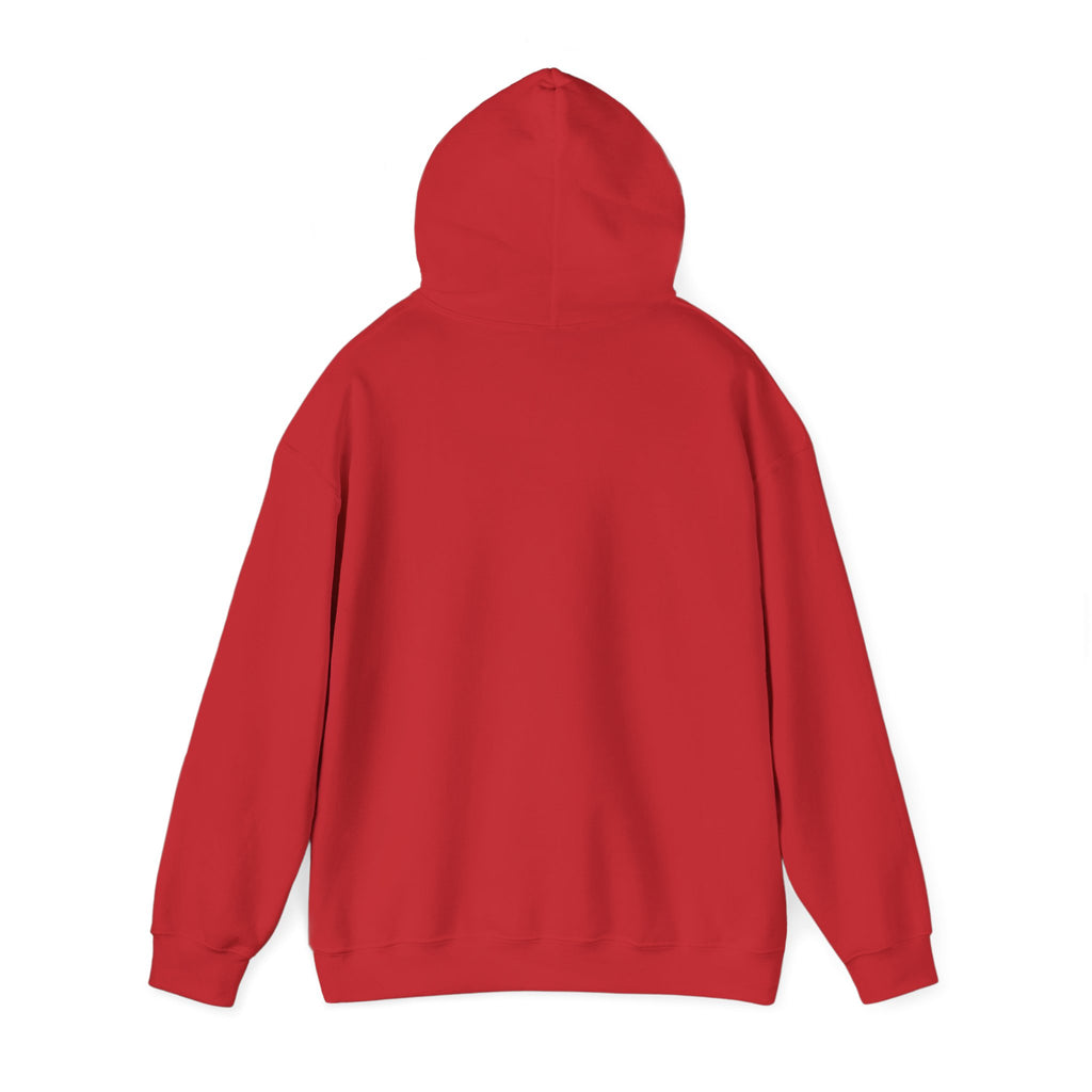 Decay Of Survival Hoodie — Post-Apocalyptic Landscape Graphic Hoodie