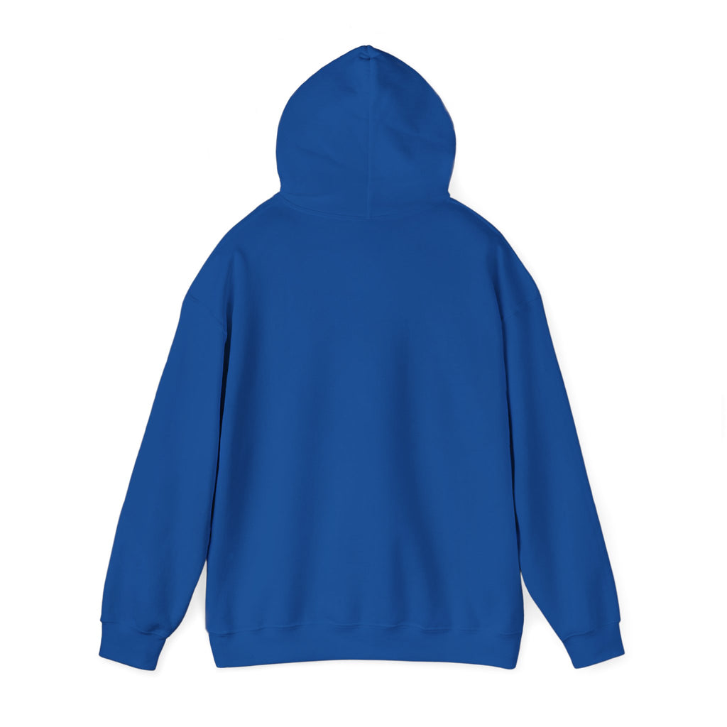 Decay Of Survival Hoodie — Post-Apocalyptic Graphic Pullover