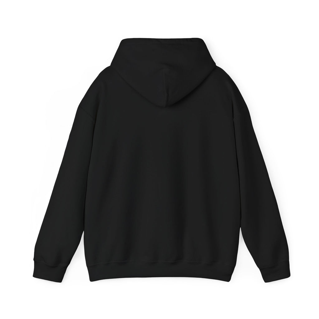 Decay Of Survival Hoodie — Post-Apocalyptic Landscape Graphic Hoodie