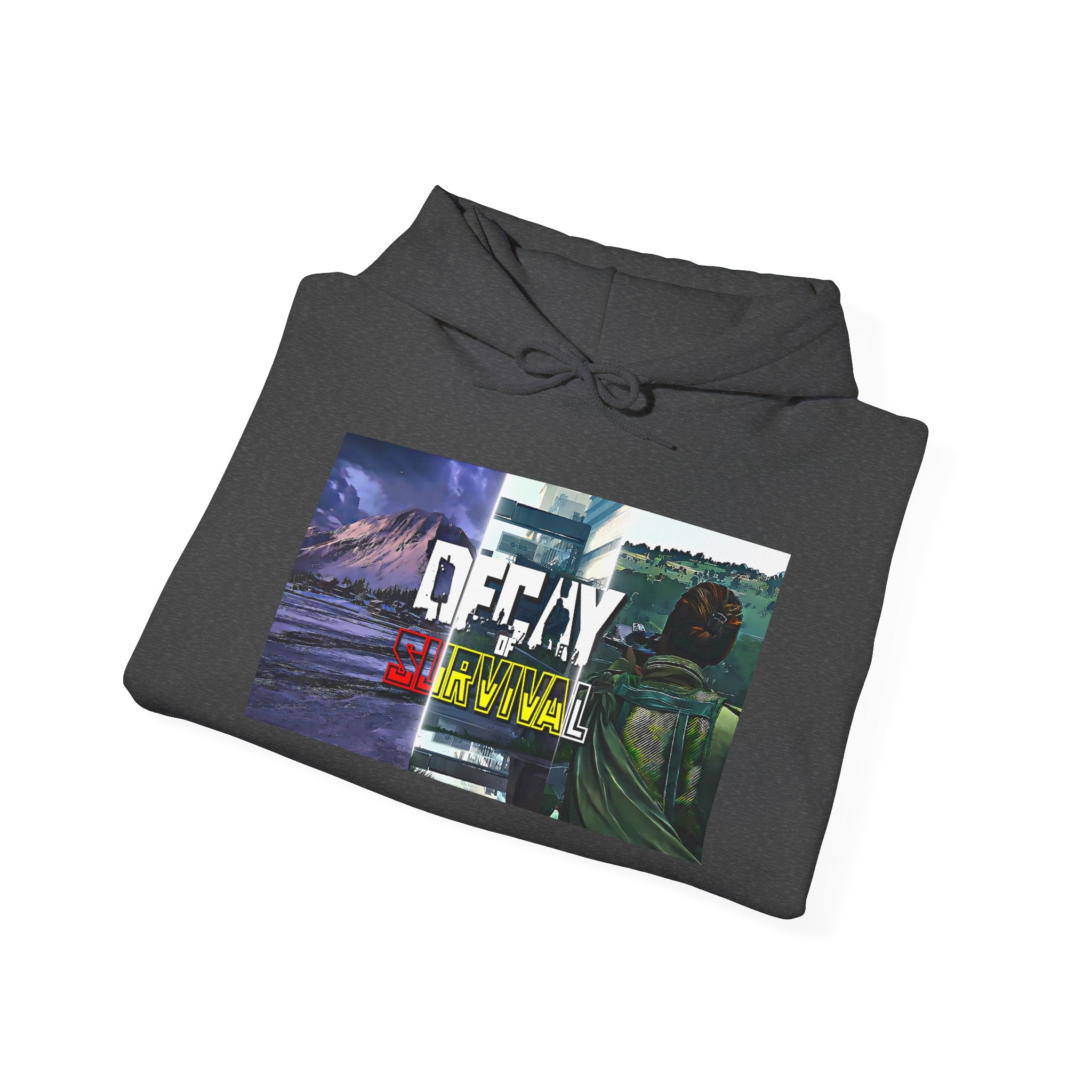Decay Of Survival Hoodie — Post-Apocalyptic Landscape Graphic Hoodie