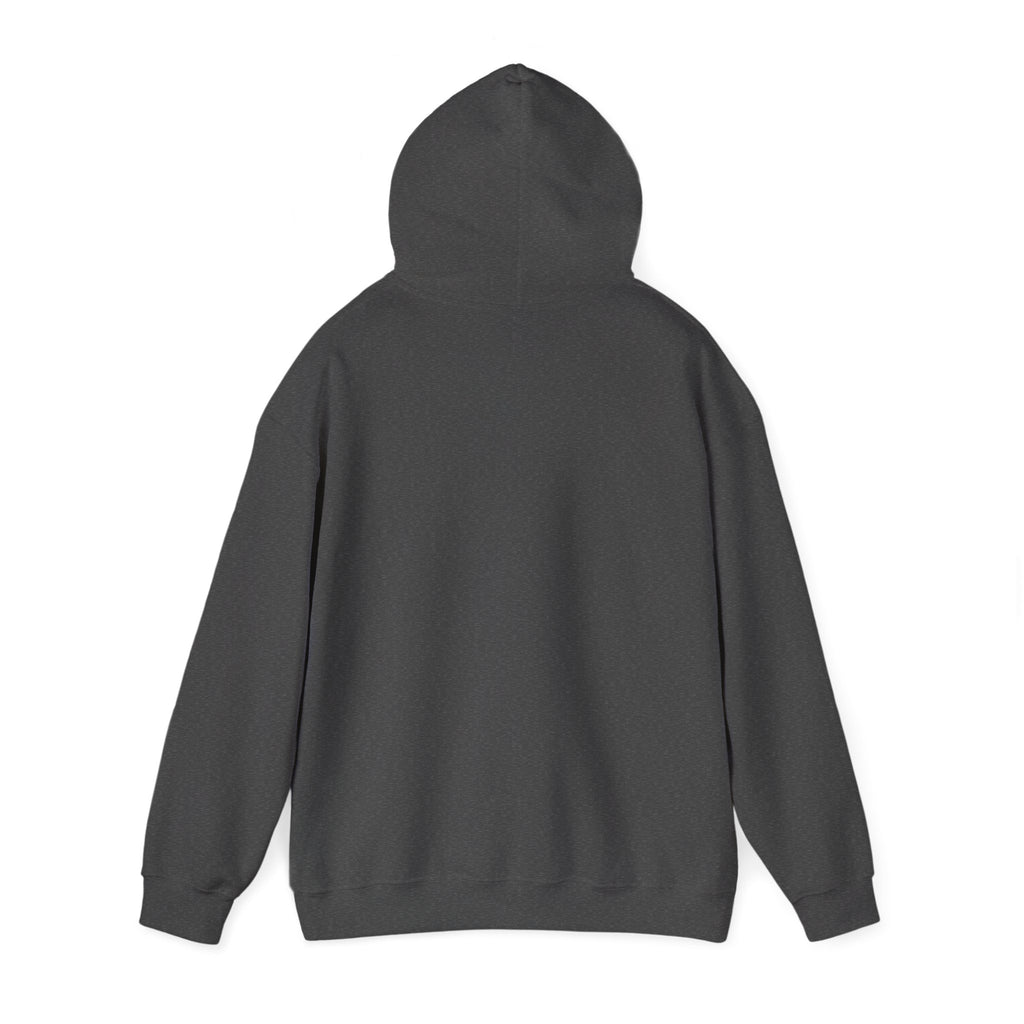 Decay Of Survival Hoodie — Post-Apocalyptic Graphic Pullover