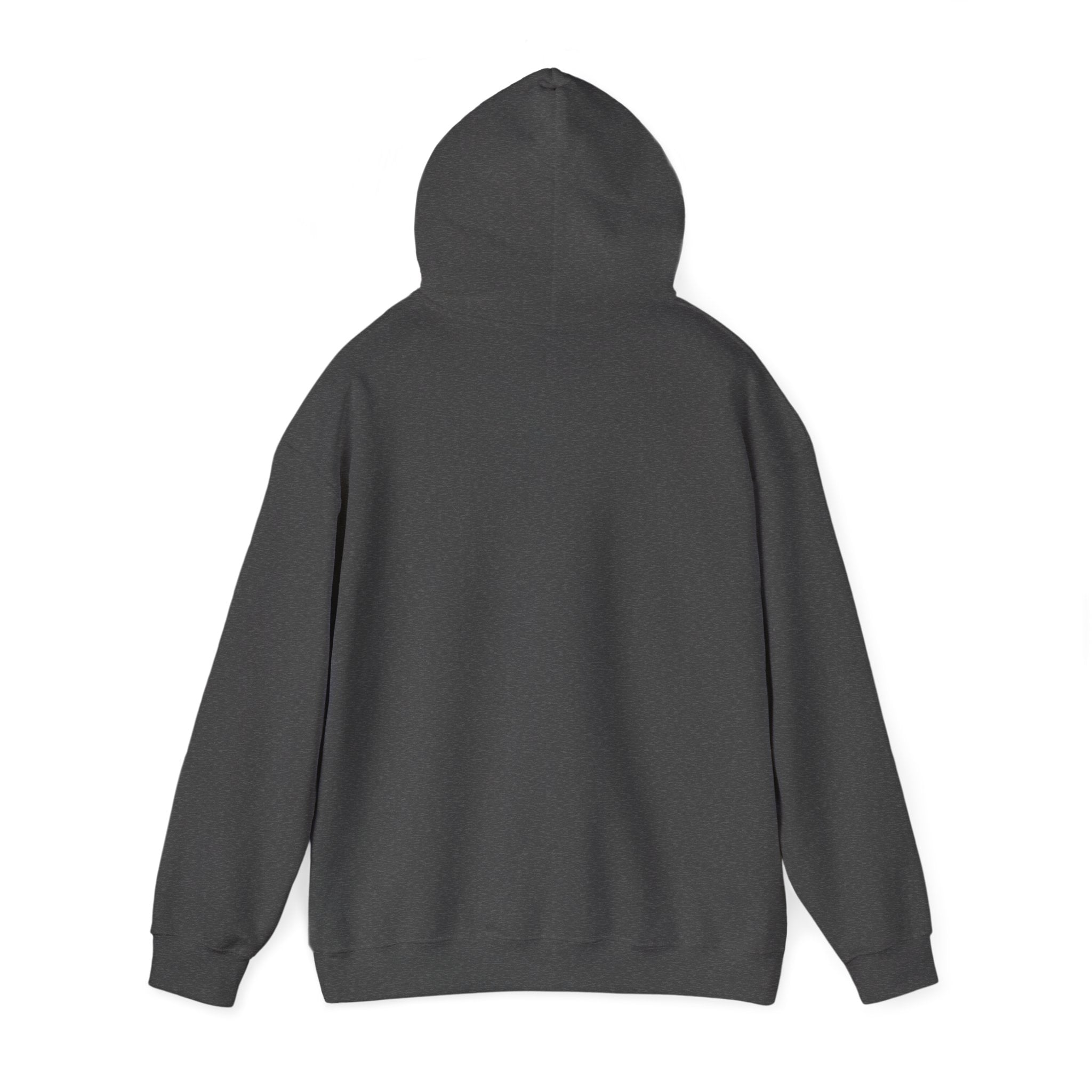 Decay Of Survival Hoodie — Post-Apocalyptic Graphic Pullover
