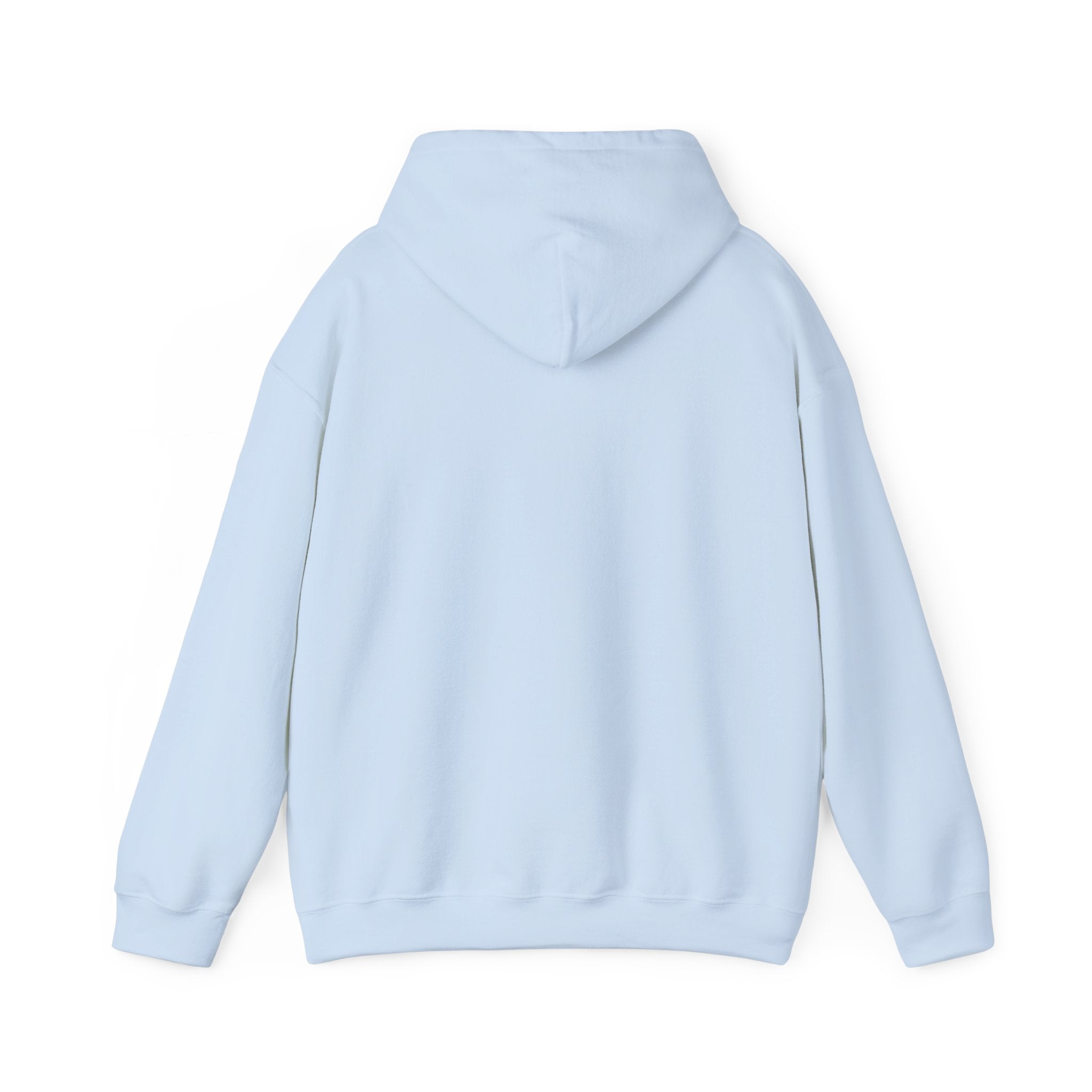 Decay Of Survival Hoodie — Post-Apocalyptic Landscape Graphic Hoodie