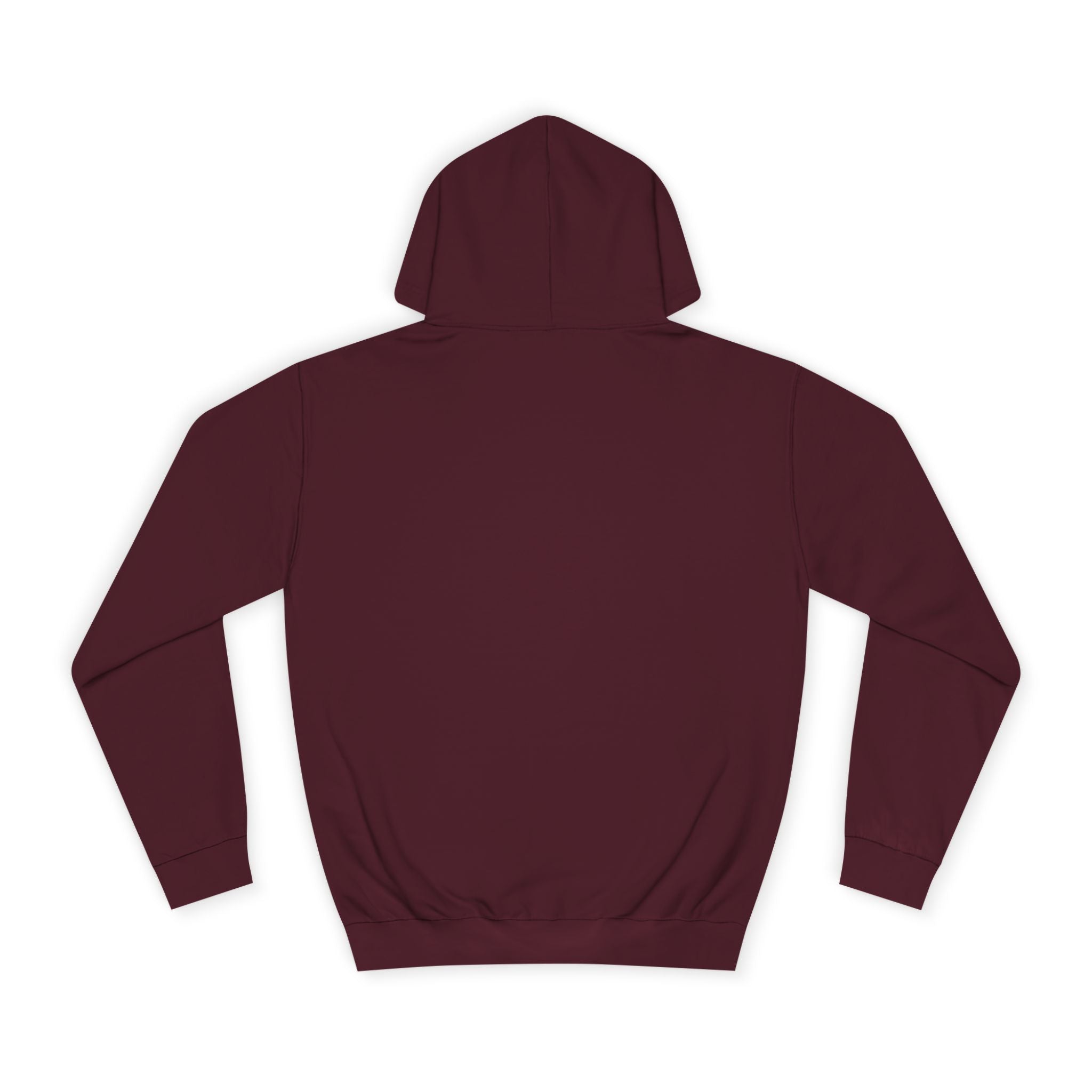 Decay Of Survival Hoodie — Vintage Campus Landscape Graphic