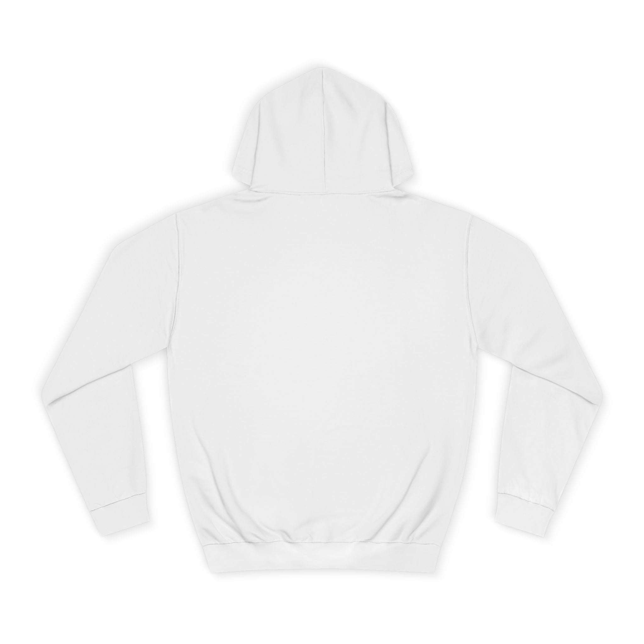 Decay Of Survival Hoodie — Vintage Campus Landscape Graphic