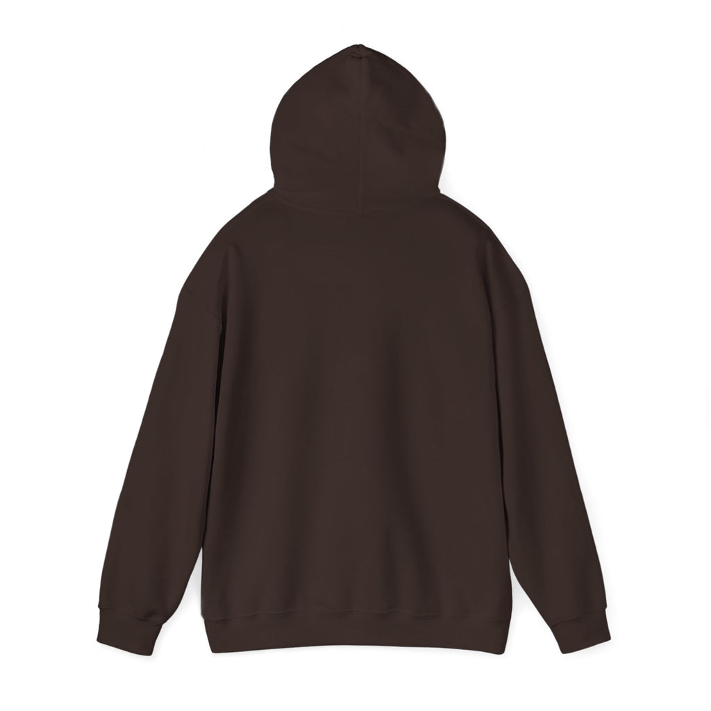 Decay Of Survival Hoodie — Post-Apocalyptic Graphic Pullover