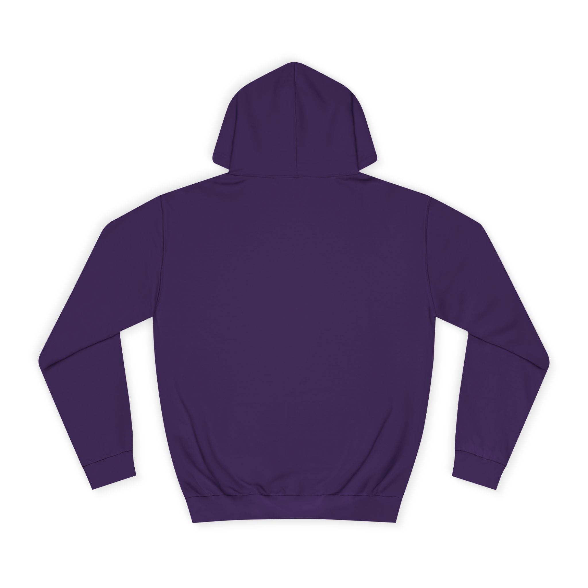Decay Of Survival Hoodie — Vintage Campus Landscape Graphic