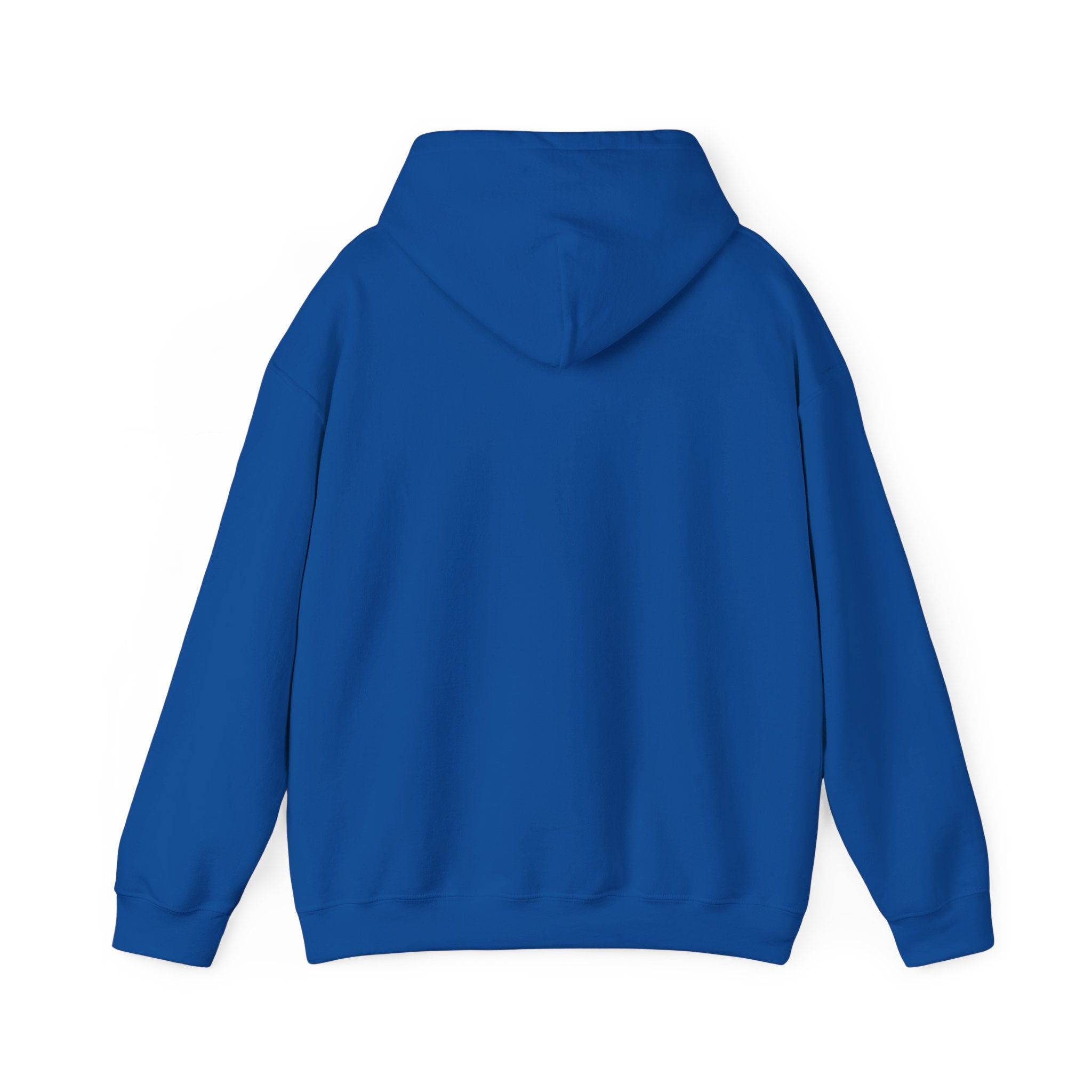 Decay Of Survival Hoodie — Post-Apocalyptic Graphic Pullover