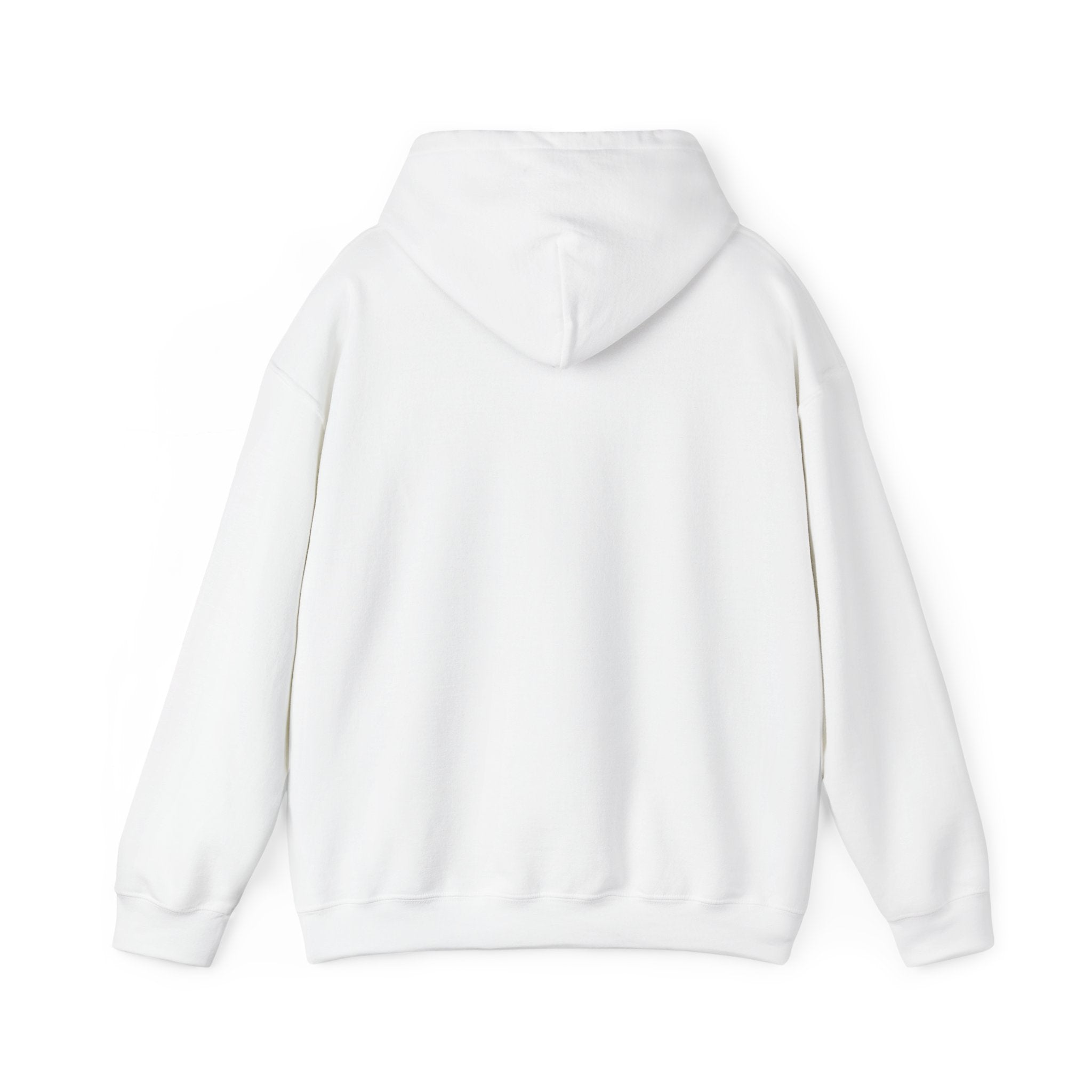 Decay Of Survival Hoodie — Post-Apocalyptic Graphic Pullover