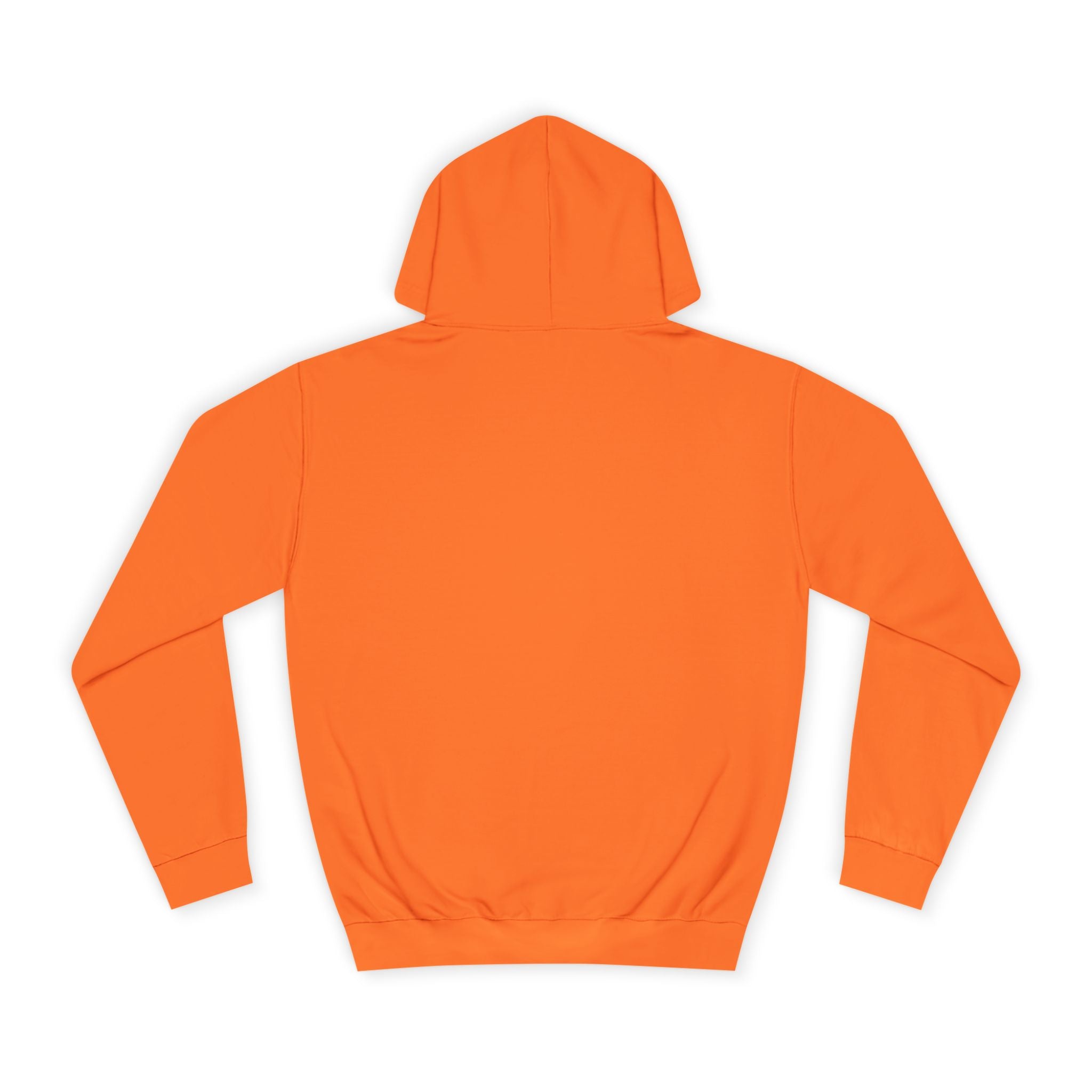 Decay Of Survival Hoodie — Vintage Campus Landscape Graphic