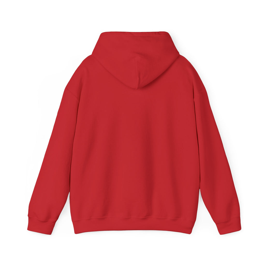 Decay Of Survival Hoodie — Post-Apocalyptic Graphic Pullover