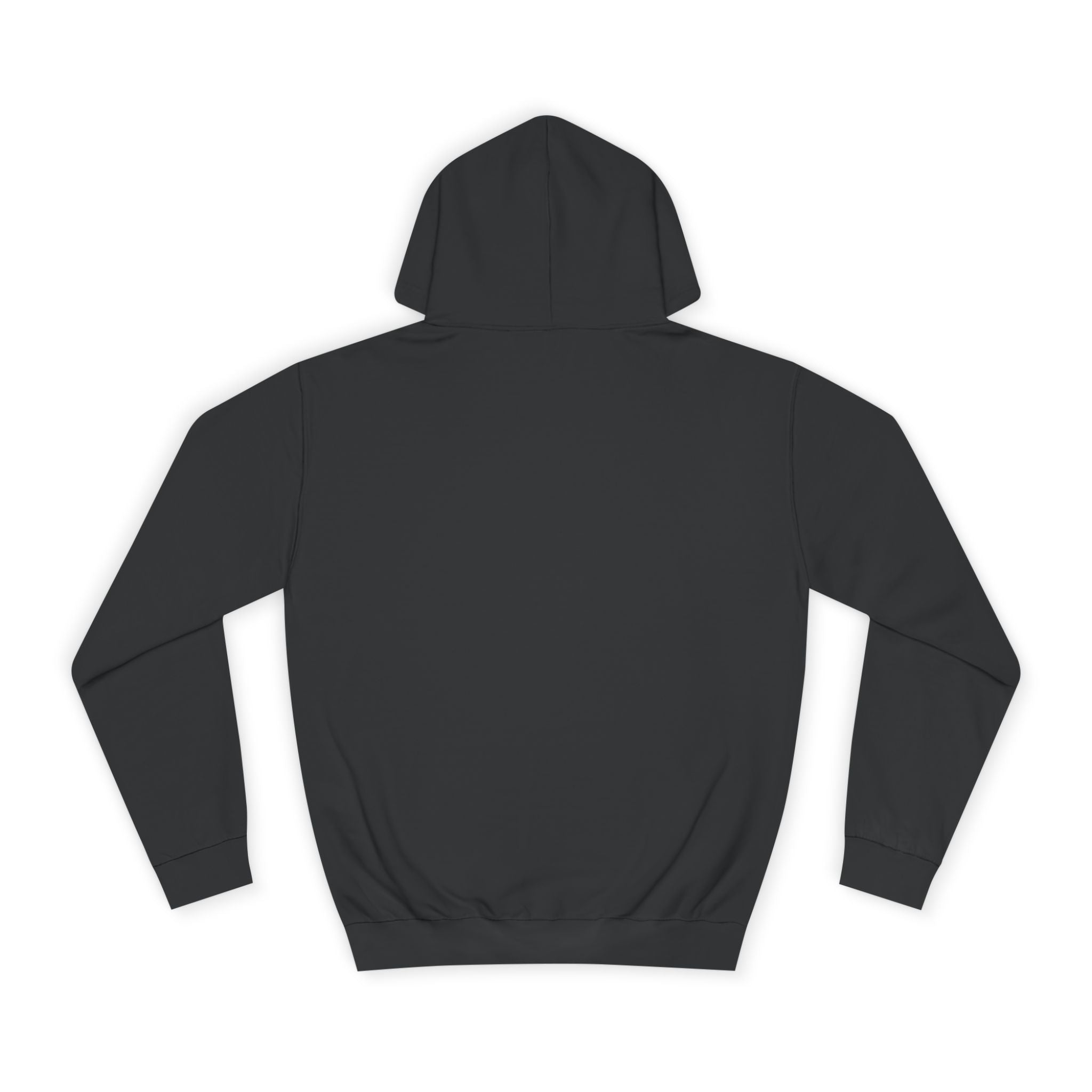 Decay Of Survival Hoodie — Vintage Campus Landscape Graphic