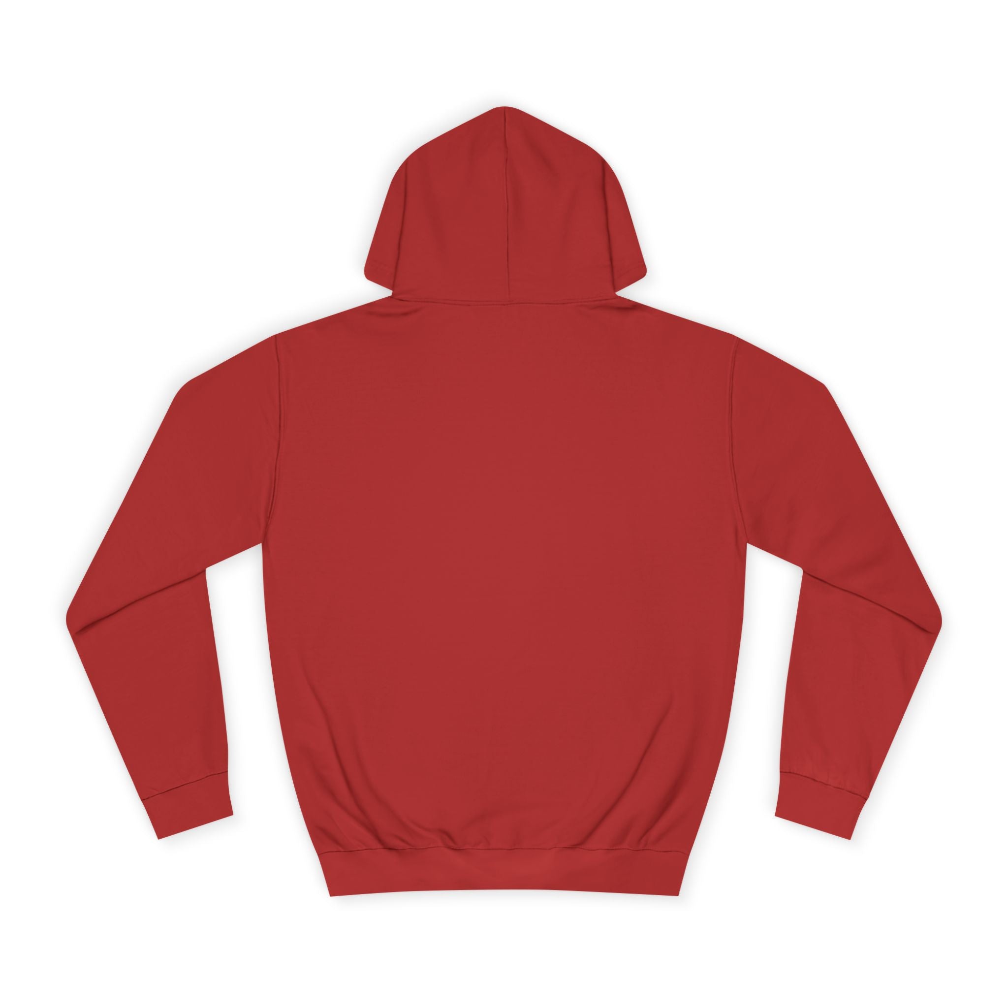 Decay Of Survival Hoodie — Vintage Campus Landscape Graphic