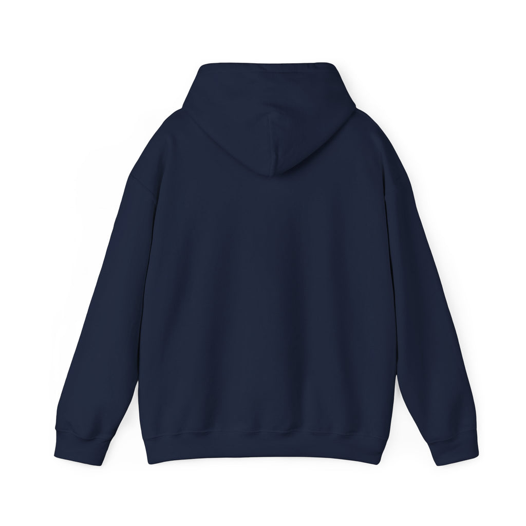 Decay Of Survival Hoodie — Post-Apocalyptic Graphic Pullover