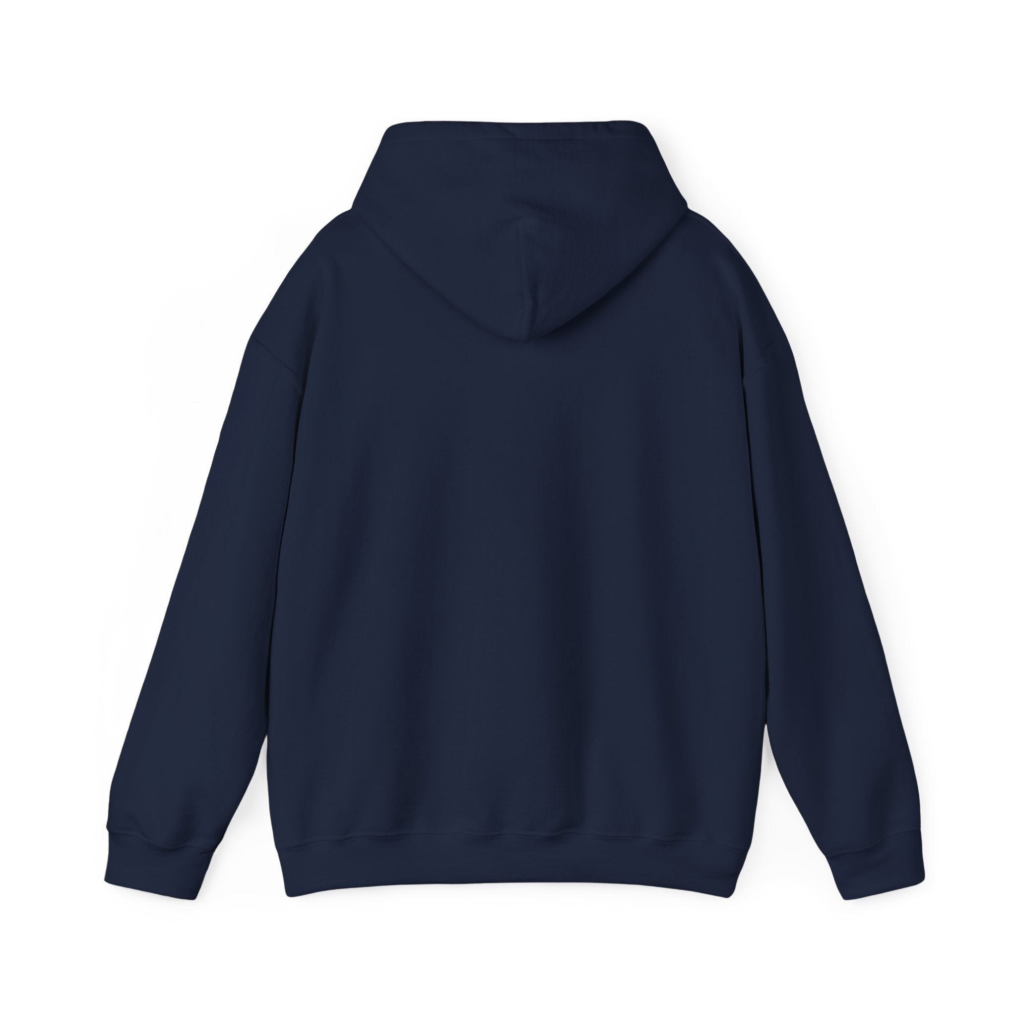 Decay Of Survival Hoodie — Post-Apocalyptic Graphic Pullover