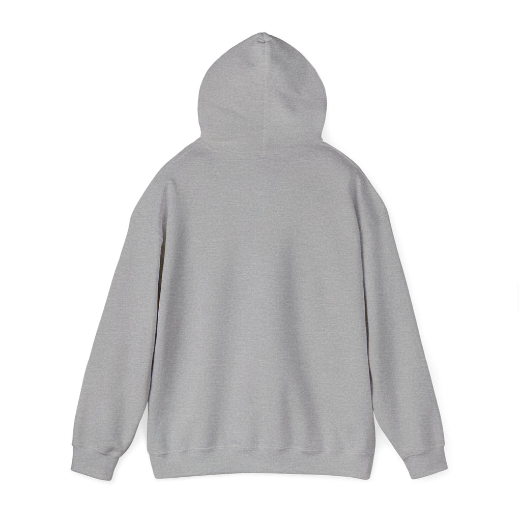 Decay Of Survival Hoodie — Post-Apocalyptic Landscape Graphic Hoodie