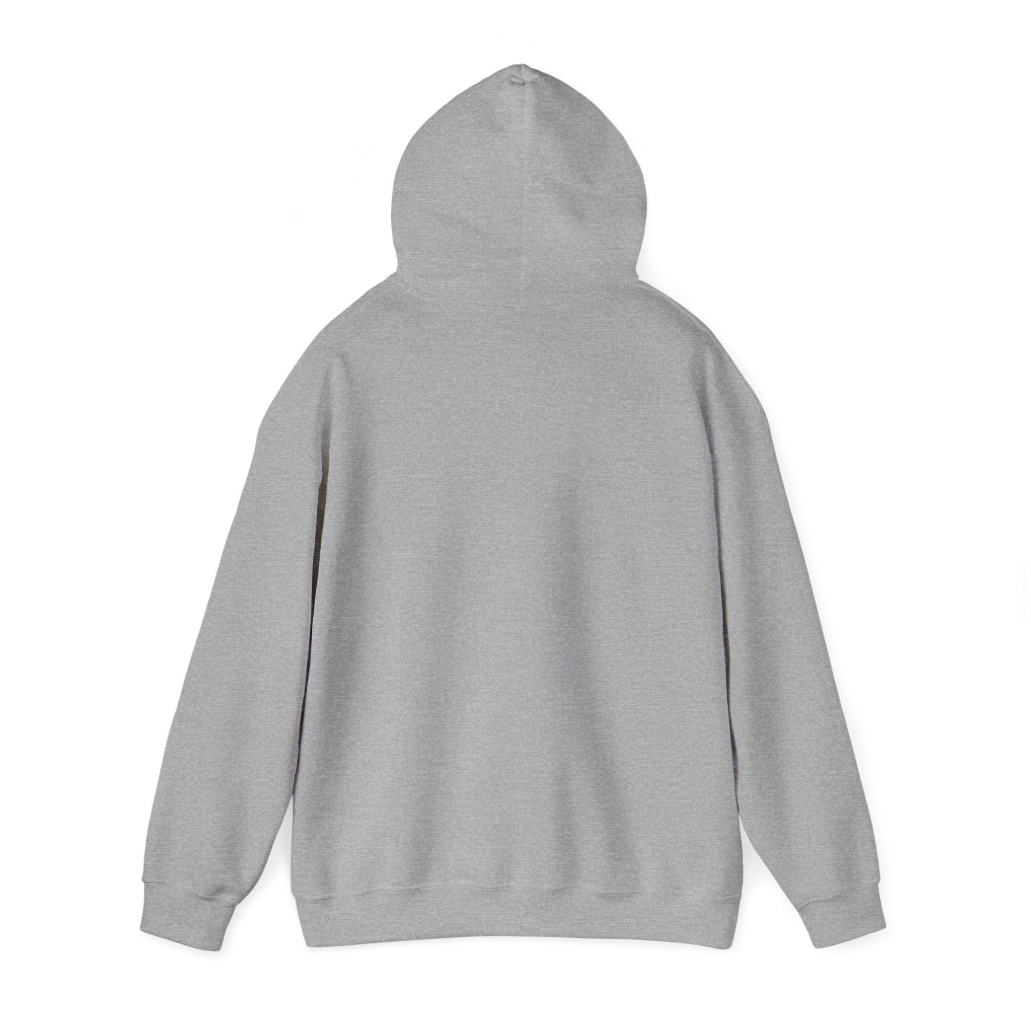 Decay Of Survival Hoodie — Post-Apocalyptic Graphic Pullover