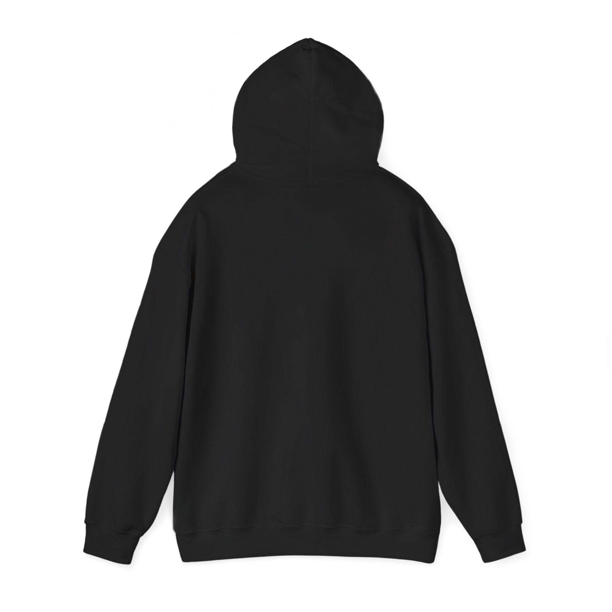 Decay Of Survival Hoodie — Post-Apocalyptic Graphic Pullover