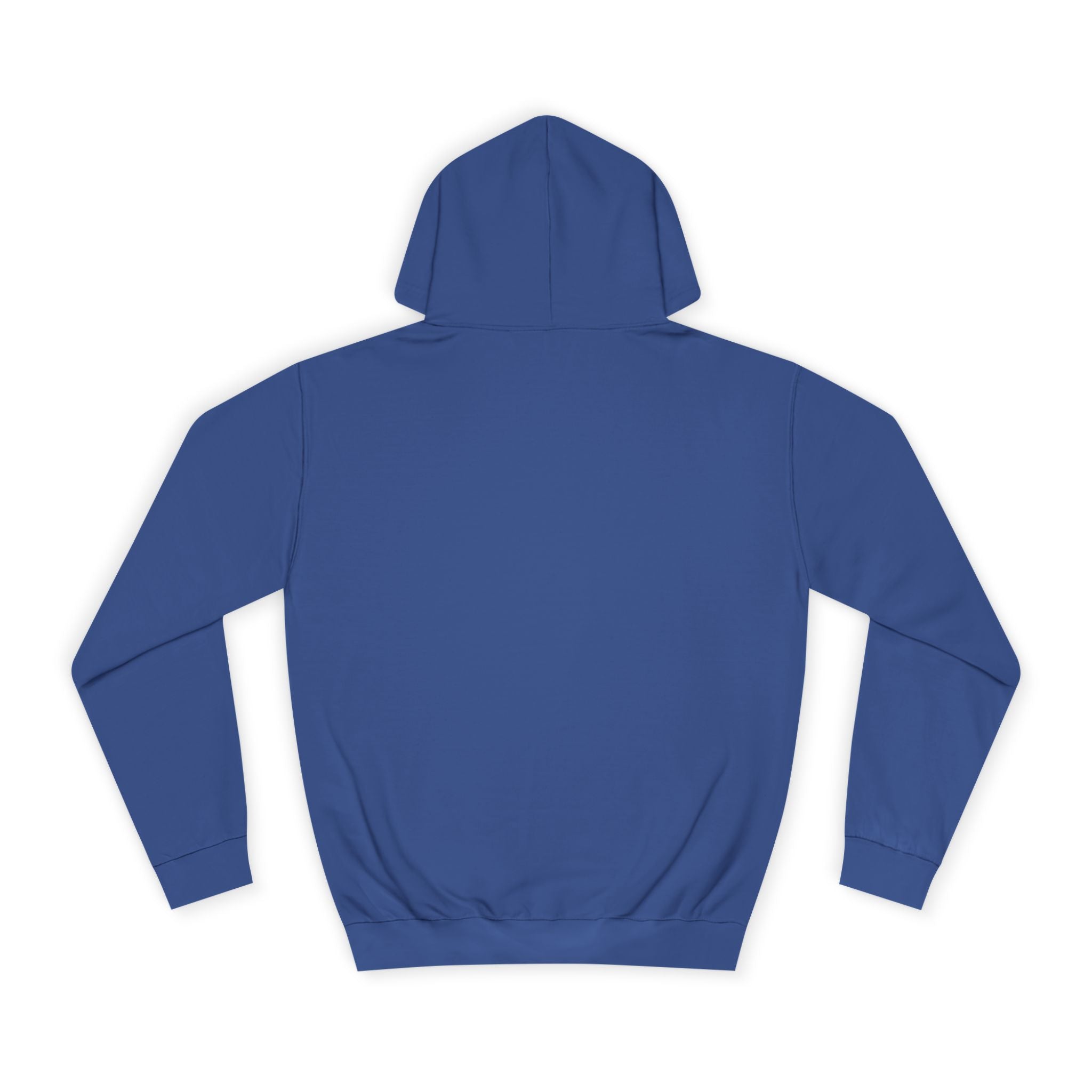 Decay Of Survival Hoodie — Vintage Campus Landscape Graphic