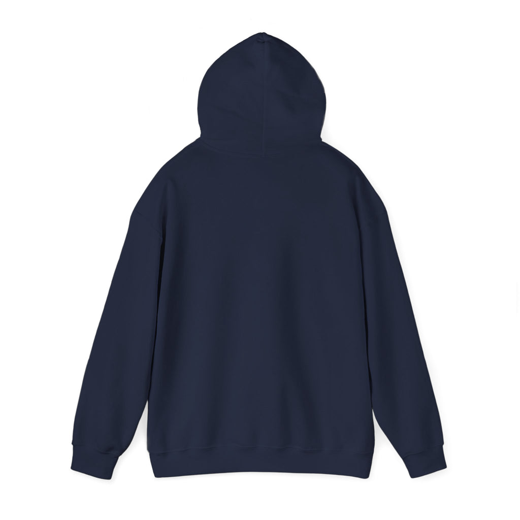 Decay Of Survival Hoodie — Post-Apocalyptic Graphic Pullover