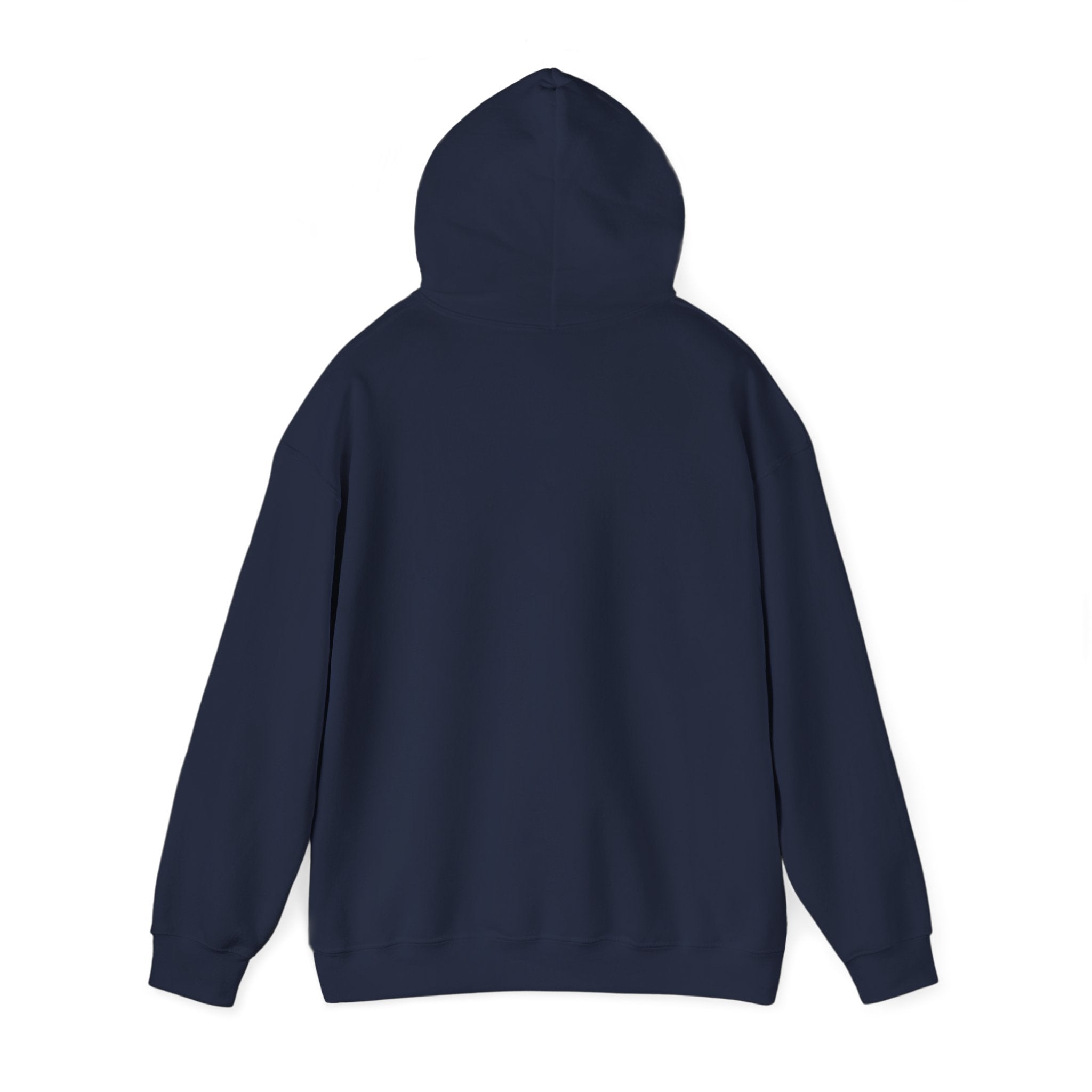 Decay Of Survival Hoodie — Post-Apocalyptic Graphic Pullover