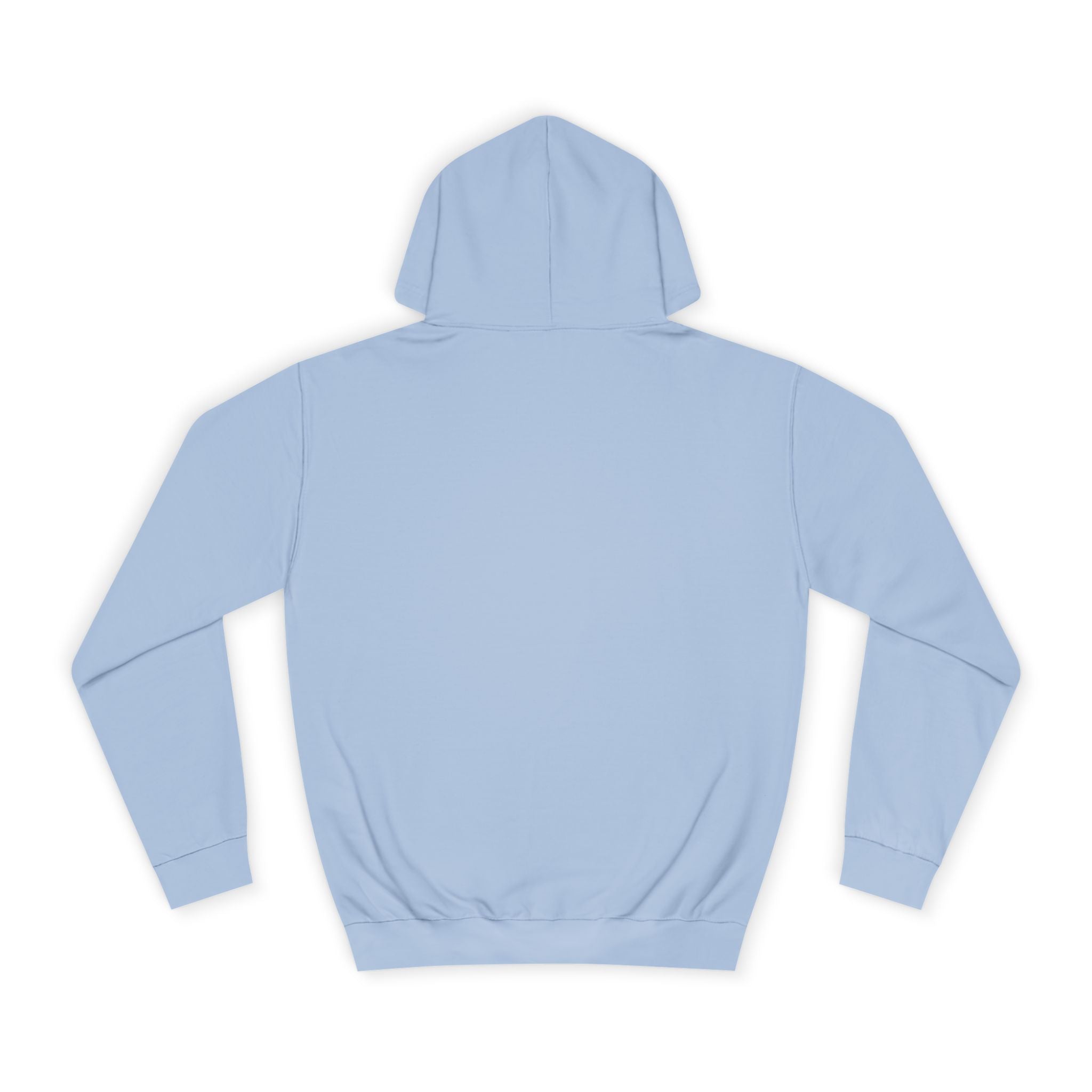 Decay Of Survival Hoodie — Vintage Campus Landscape Graphic