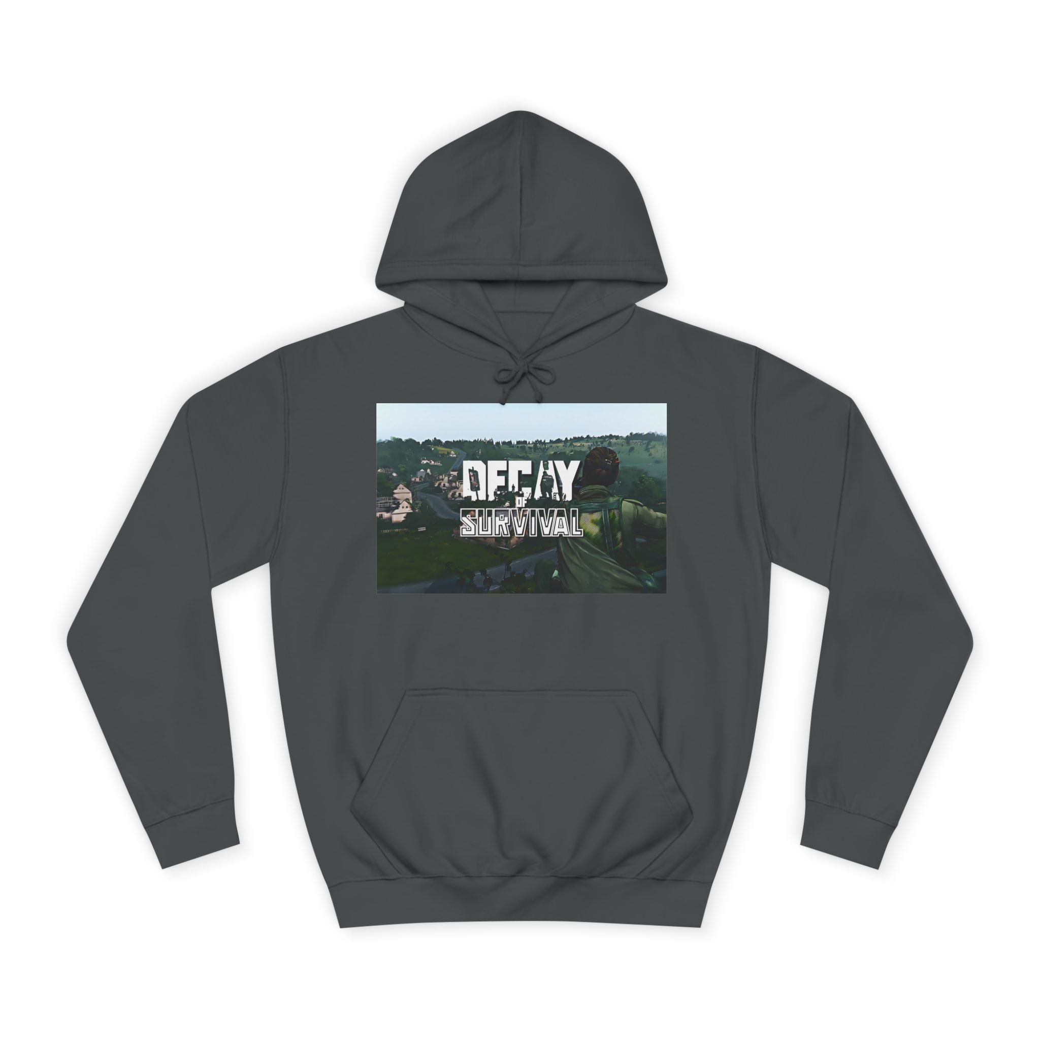Decay Of Survival Hoodie — Vintage Campus Landscape Graphic