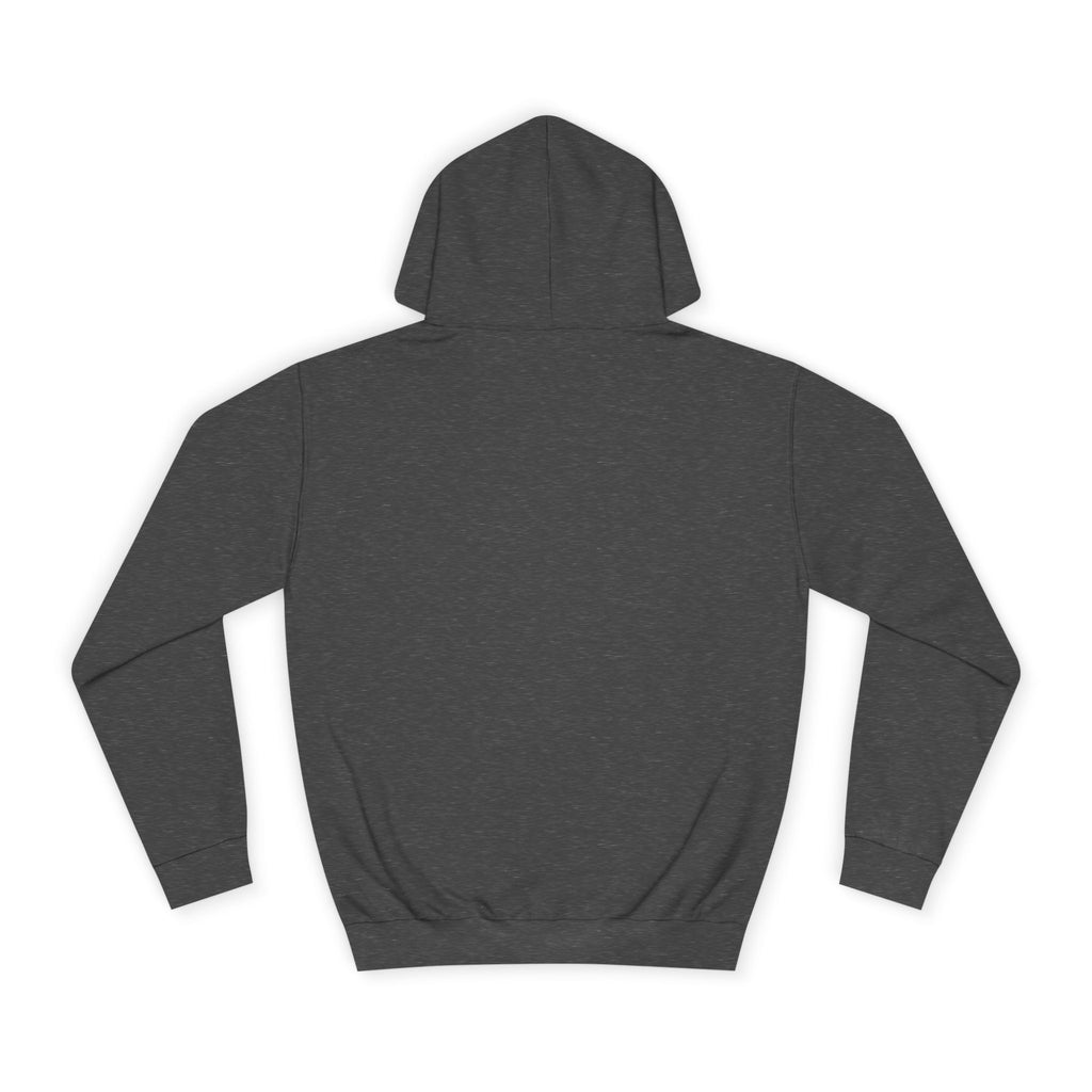 Decay Of Survival Hoodie — Vintage Campus Landscape Graphic