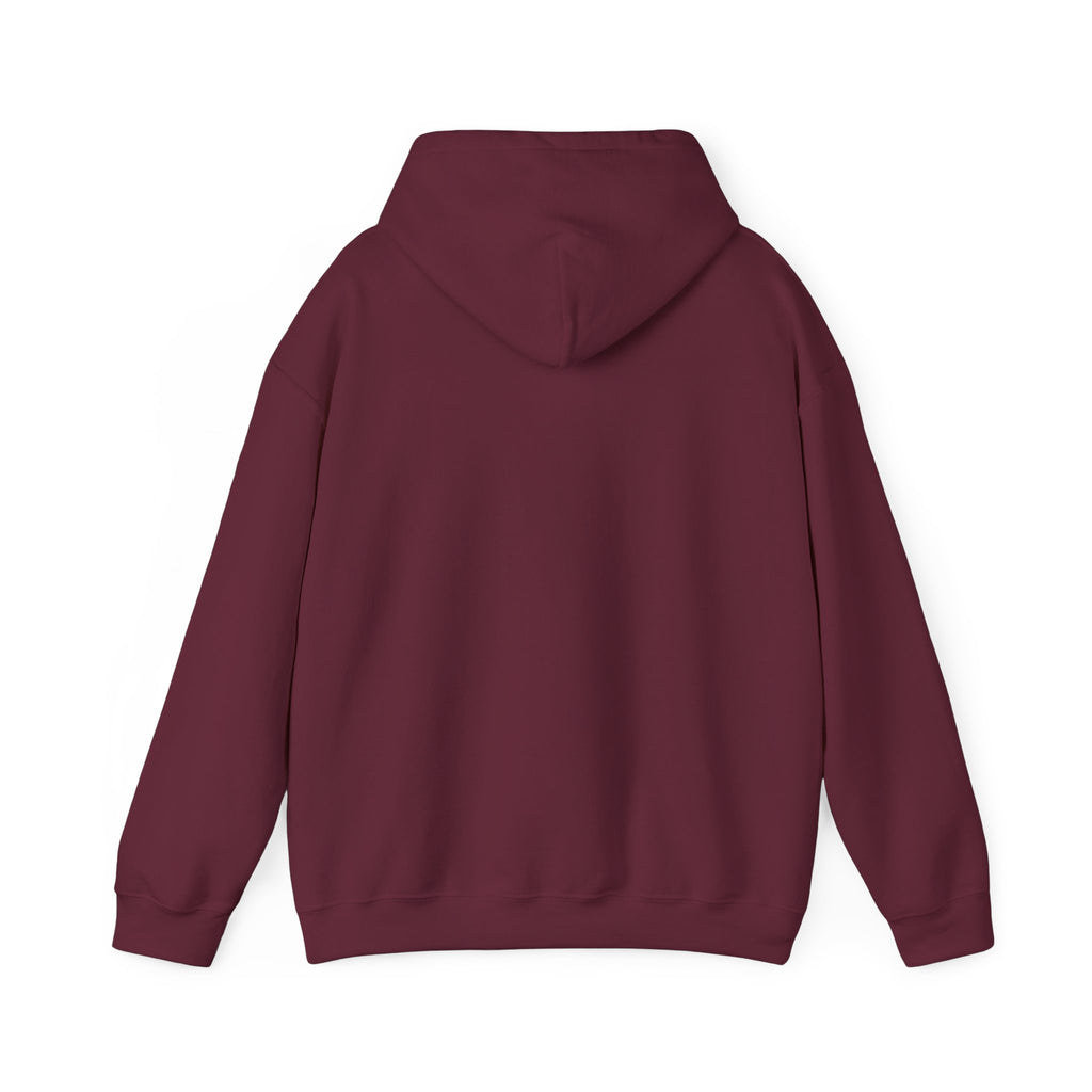 Decay Of Survival Hoodie — Post-Apocalyptic Landscape Graphic Hoodie