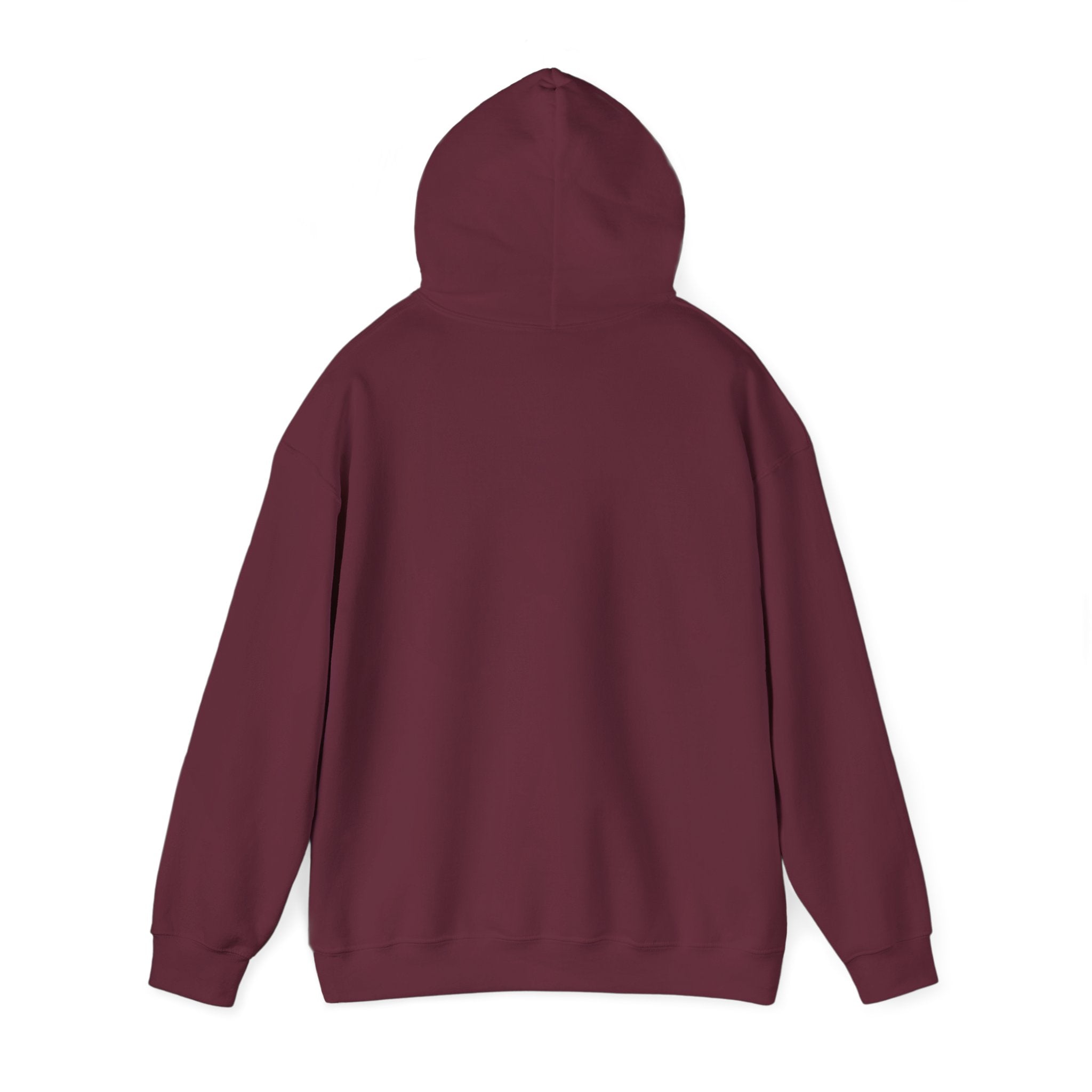 Decay Of Survival Hoodie — Post-Apocalyptic Landscape Graphic Hoodie
