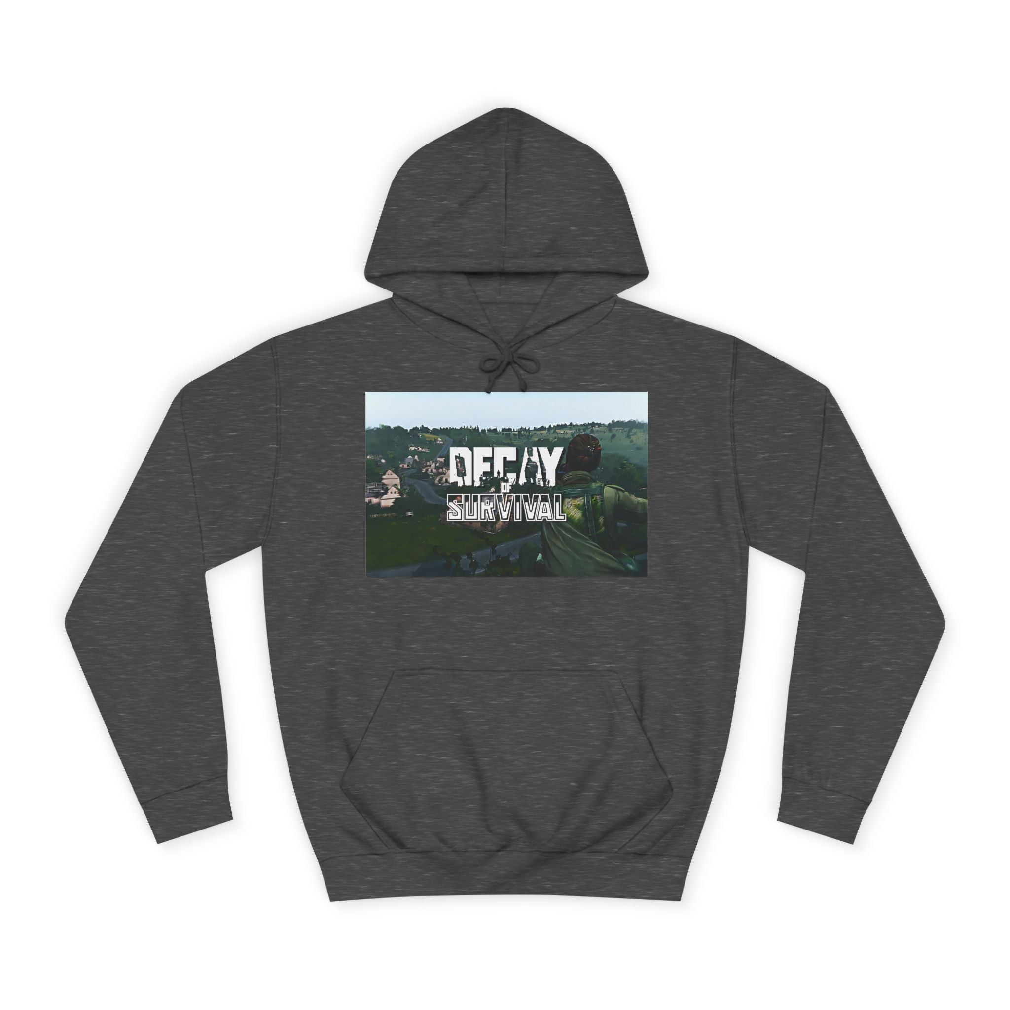 Decay Of Survival Hoodie — Vintage Campus Landscape Graphic