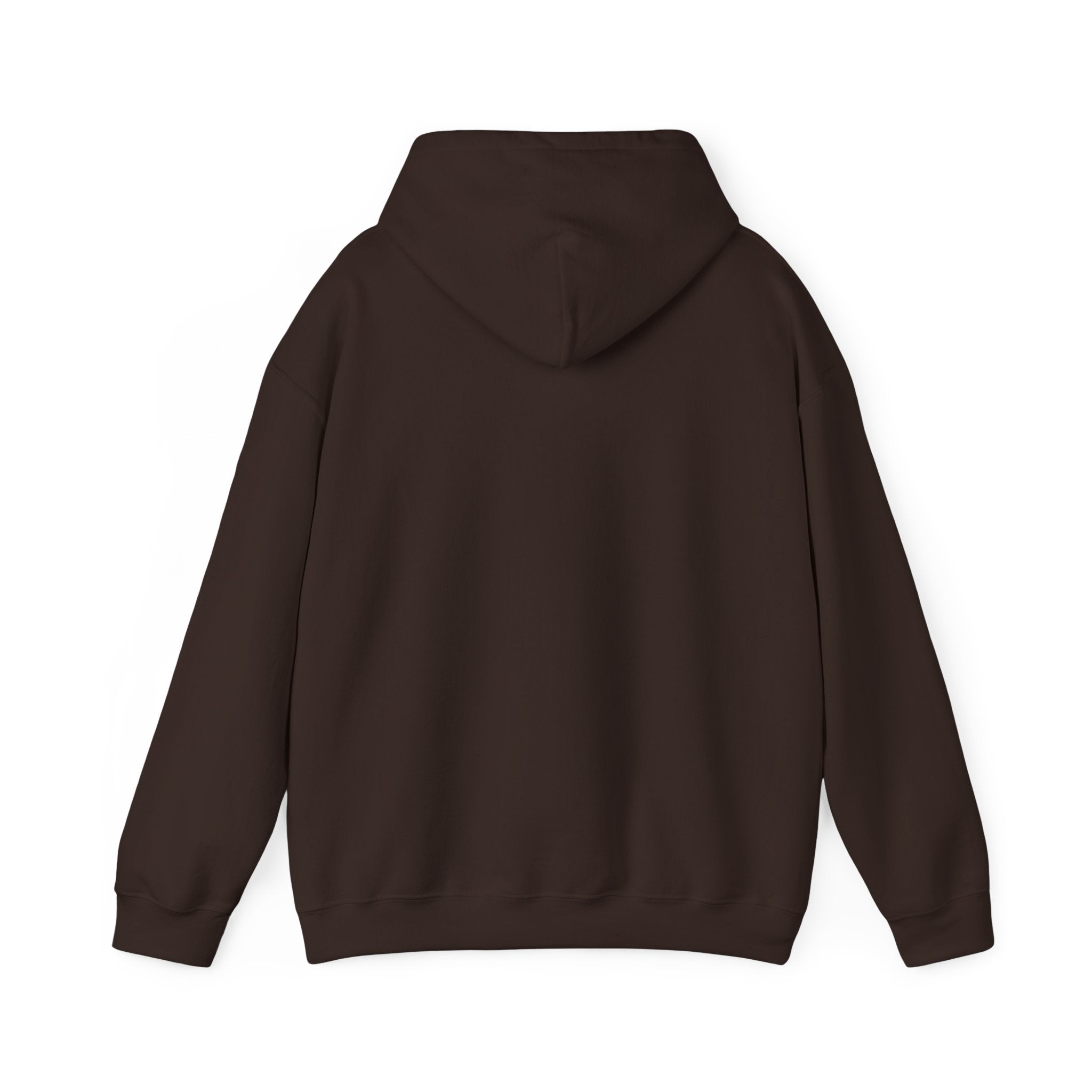 Decay Of Survival Hoodie — Post-Apocalyptic Landscape Graphic Hoodie